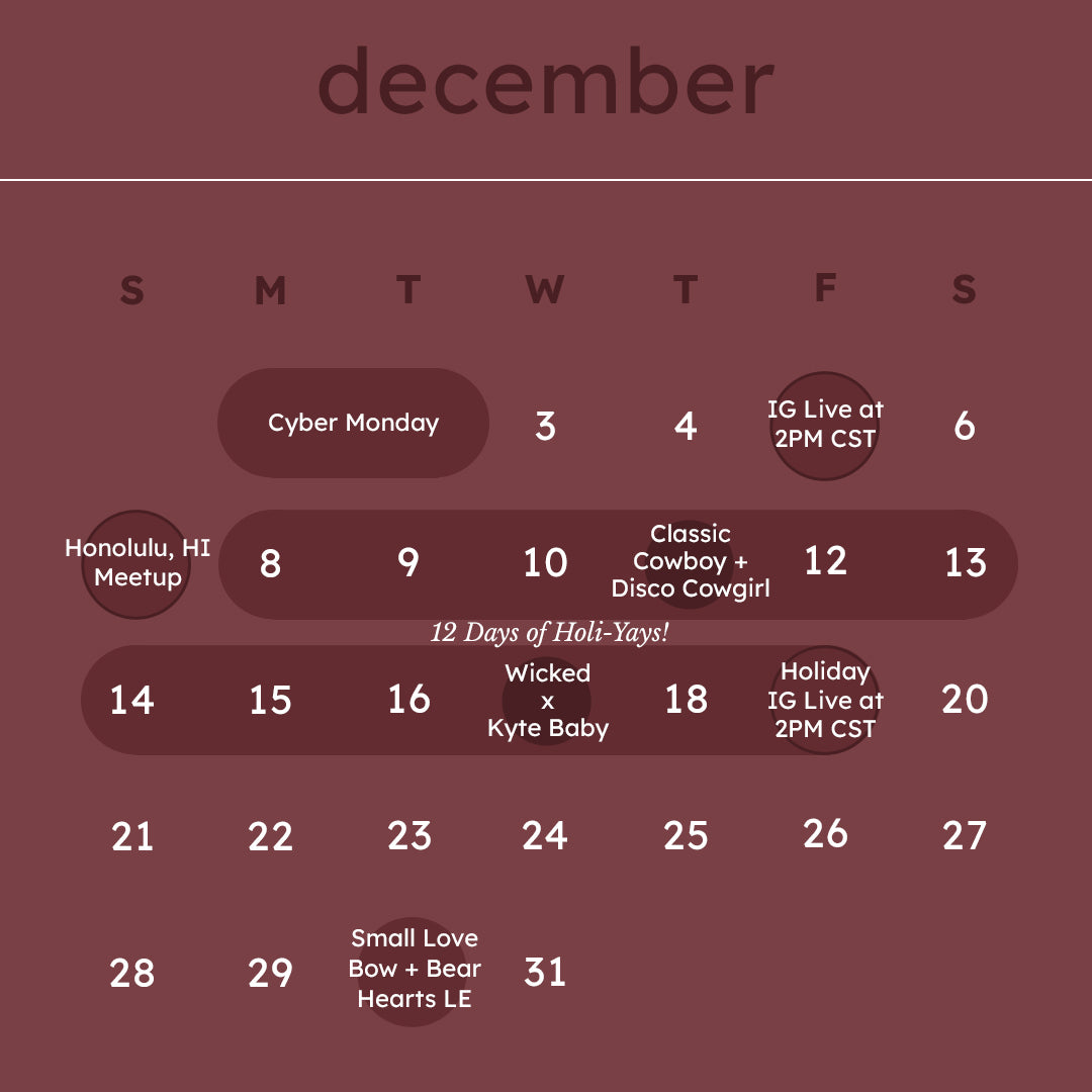 December 2025 Launch Calendar Overview