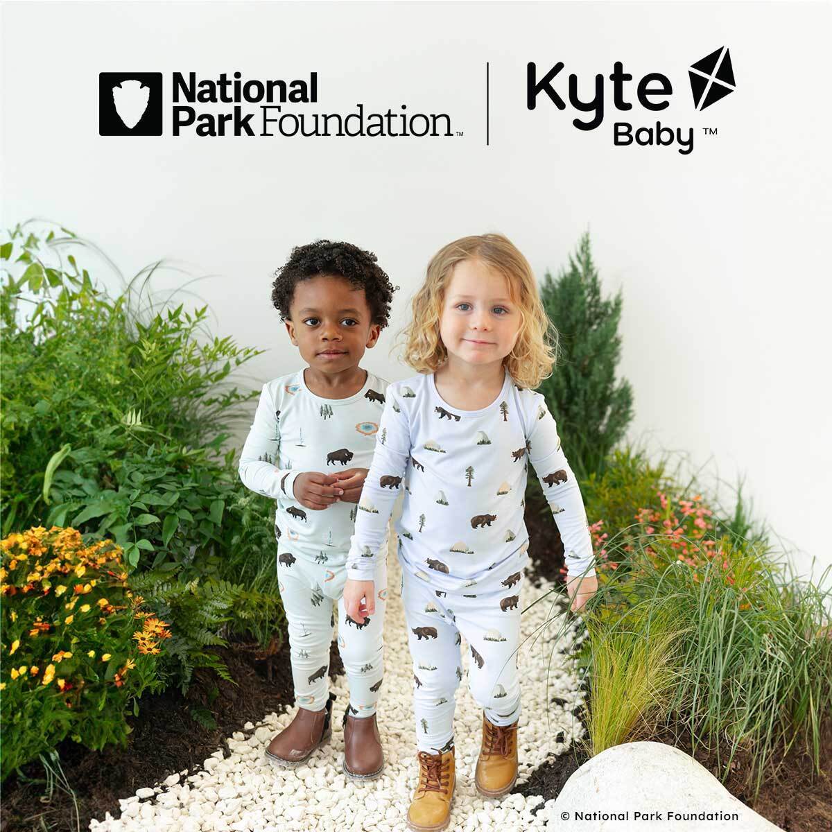 Protecting the National Parks