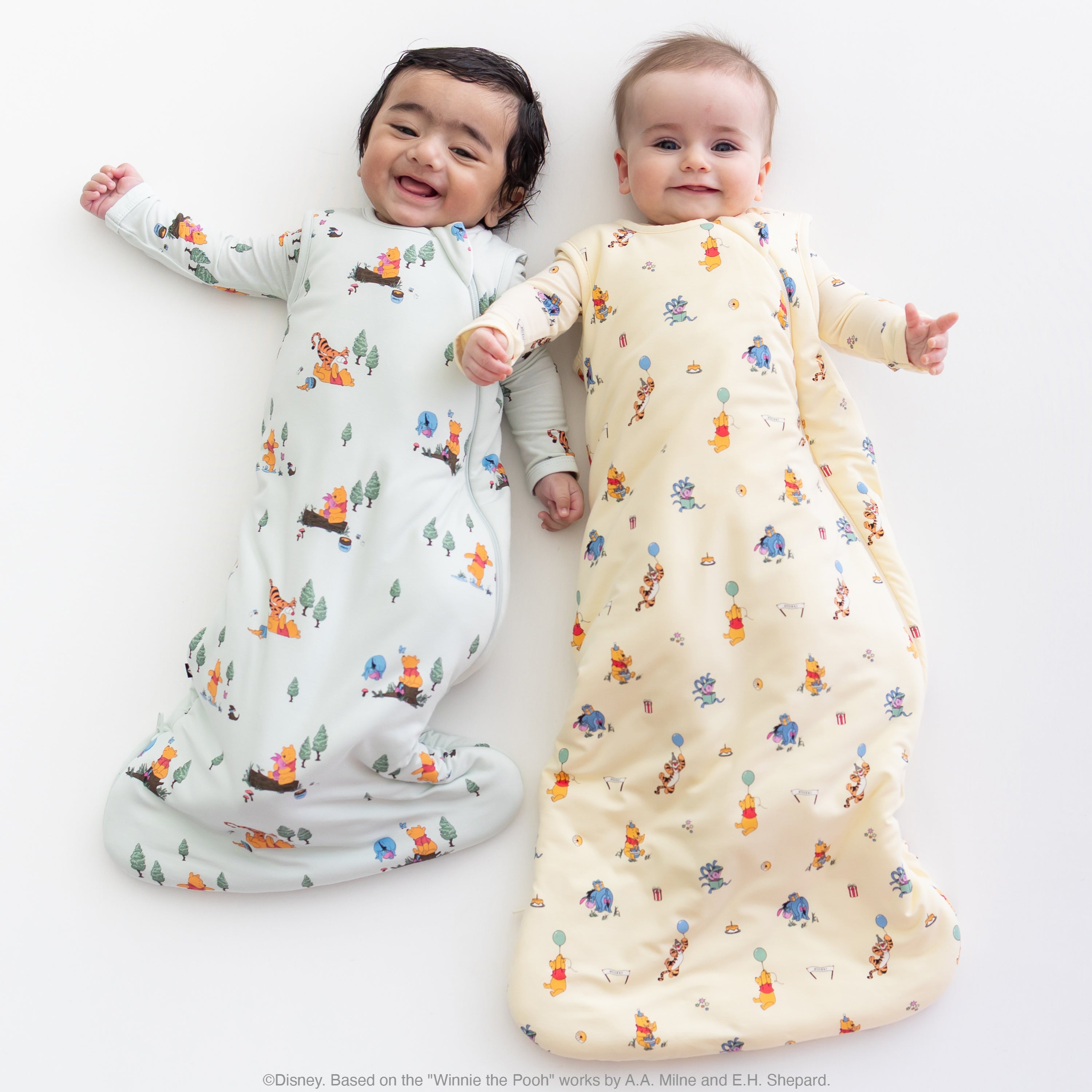 Disney Winnie the Pooh Collection