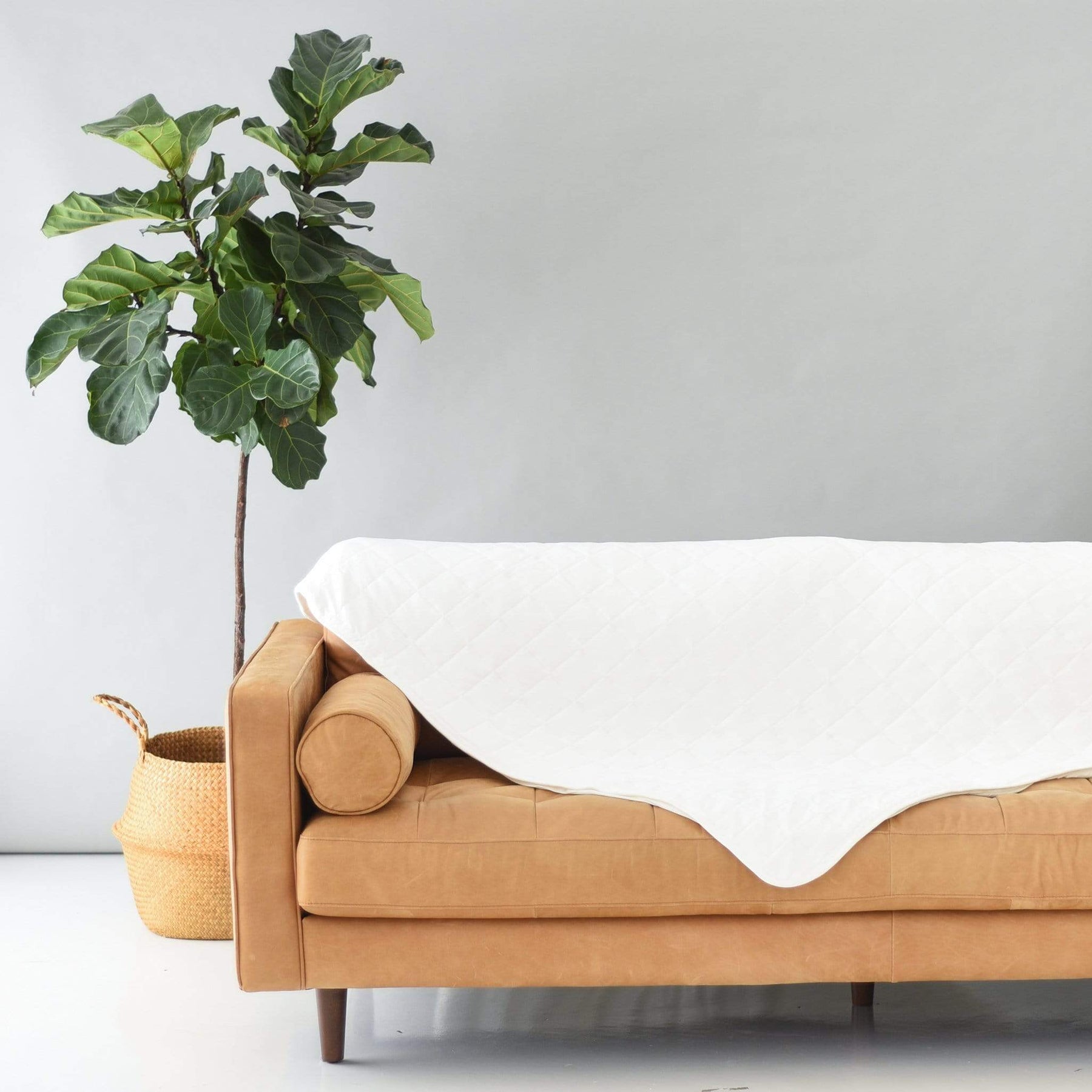 Comfort & Accessories