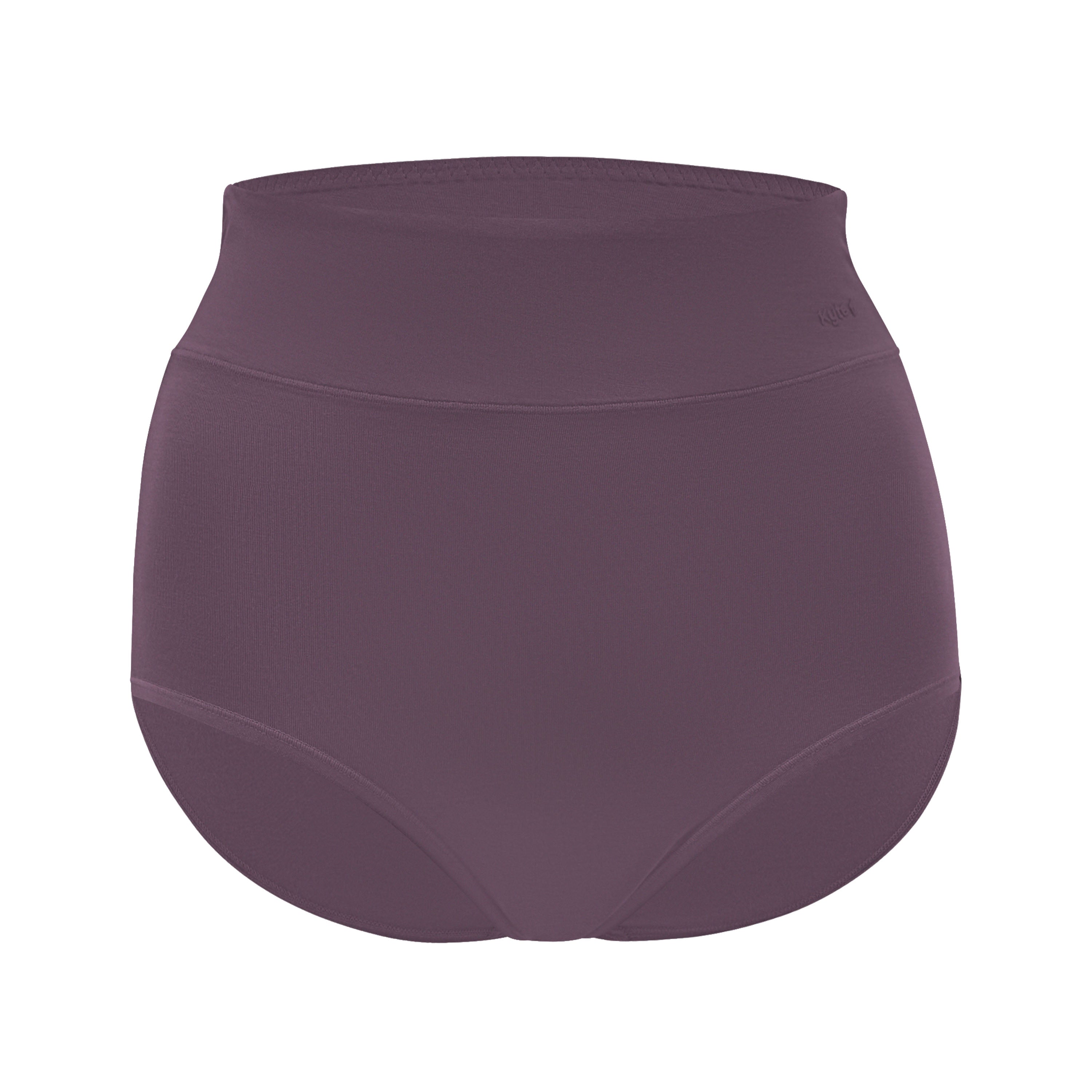 Women's High-Waisted Brief in Currant