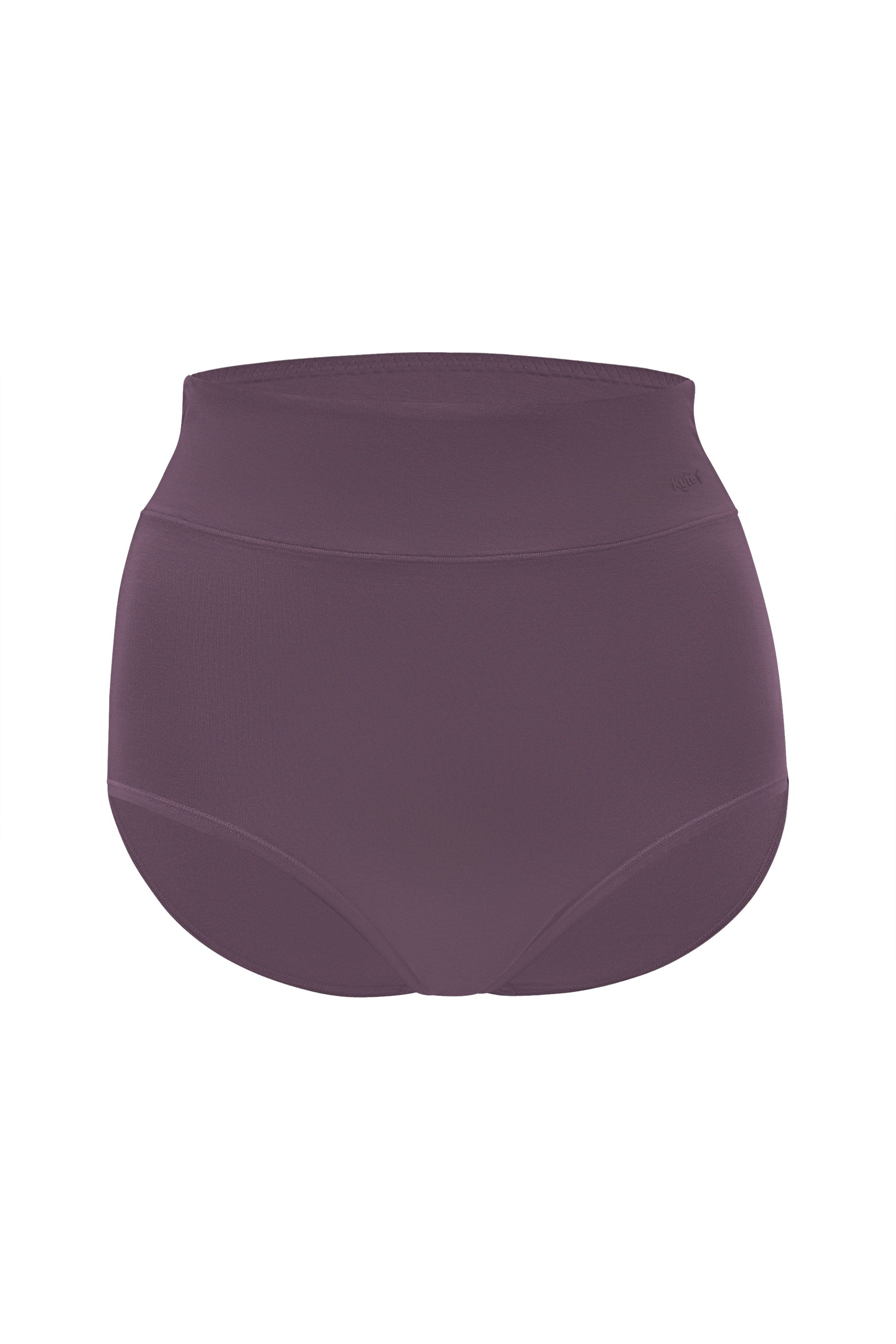 Women's High-Waisted Brief in Currant shown on a ghost mannequin