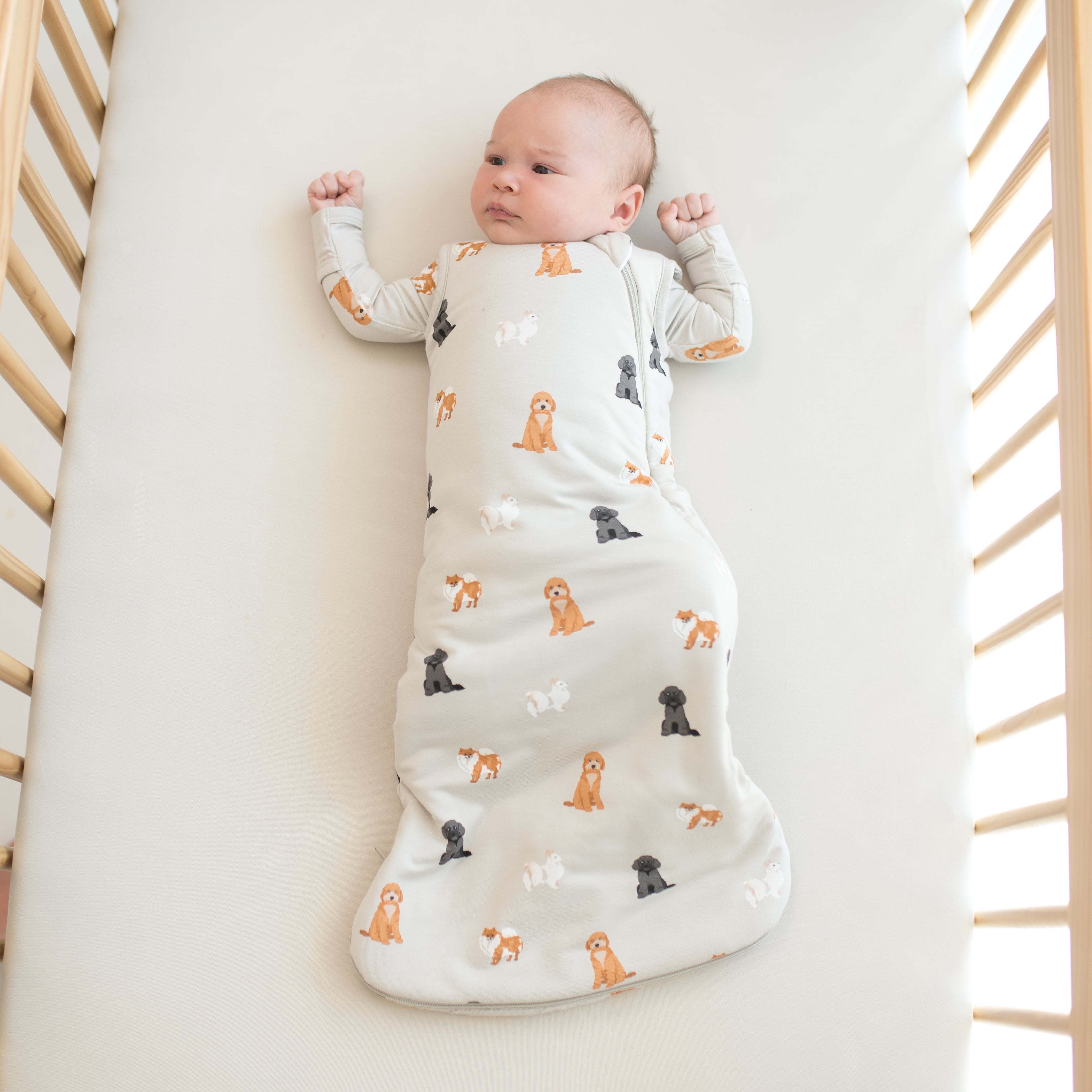 Baby wearing Sleep Bag in Fluffy Dog 1.0 in crib