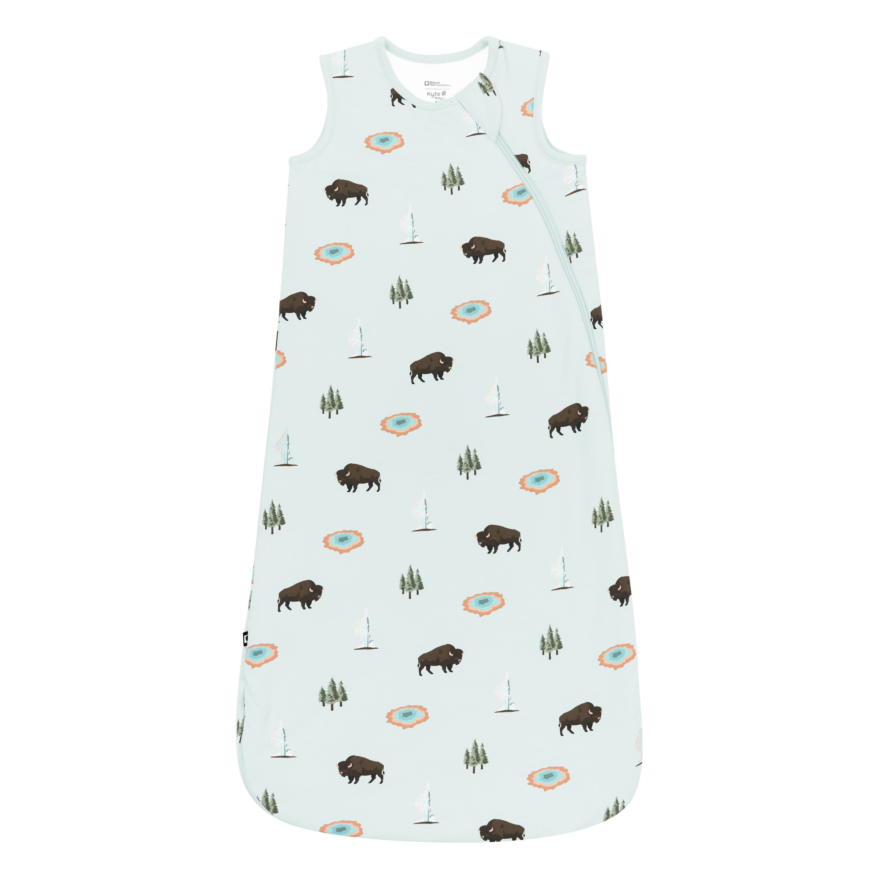 Sleep Bag in Yellowstone 1.0