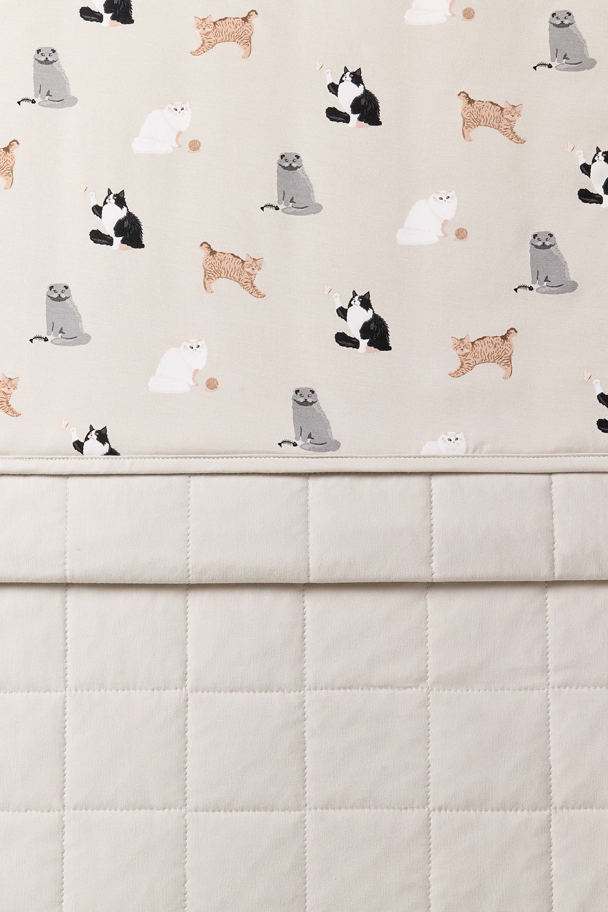 Close up of the Toddler Blanket in Fluffy Cat 1.0 showing the light beige quilted backing and smooth top layer cat print