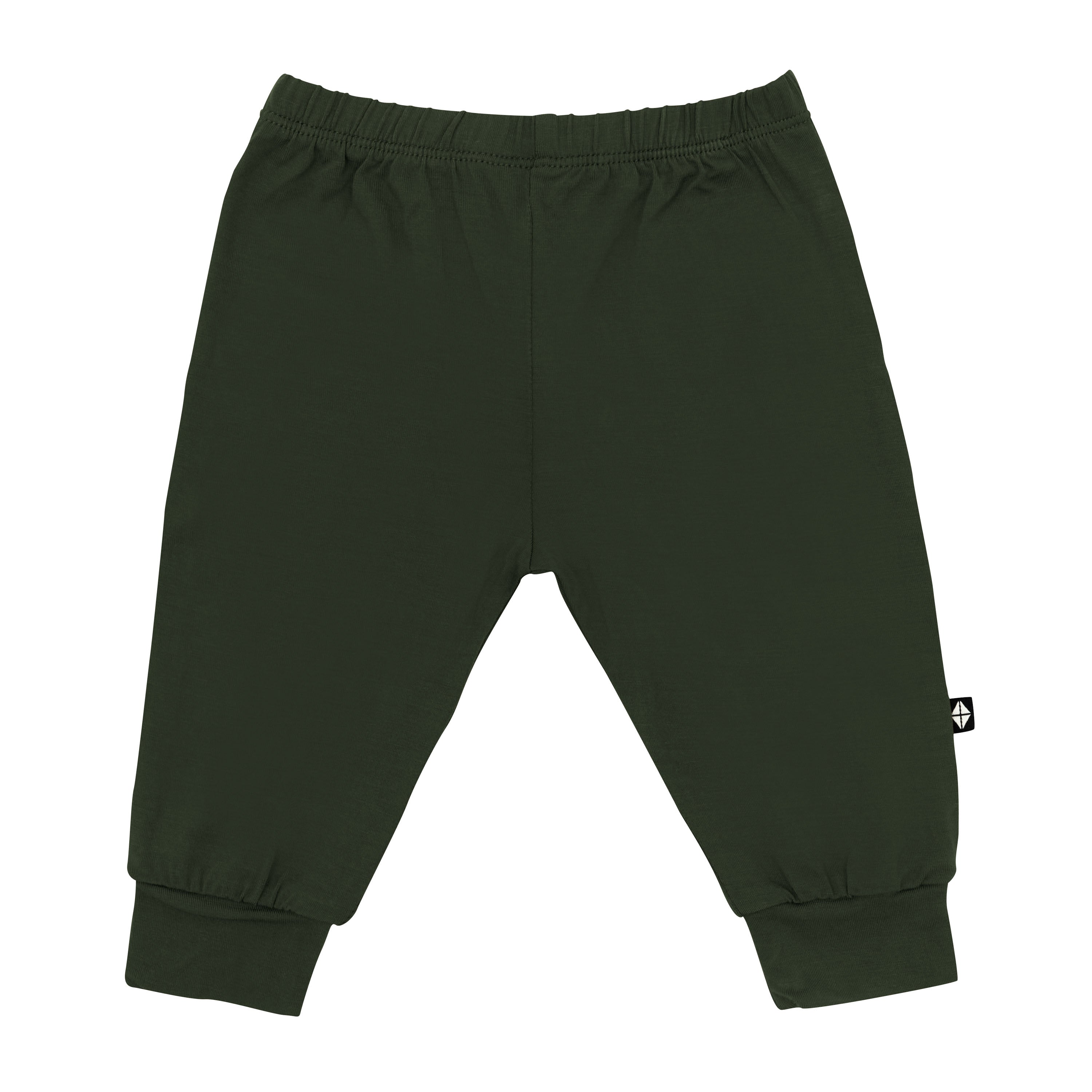 Product photo of the Pant in Fir
