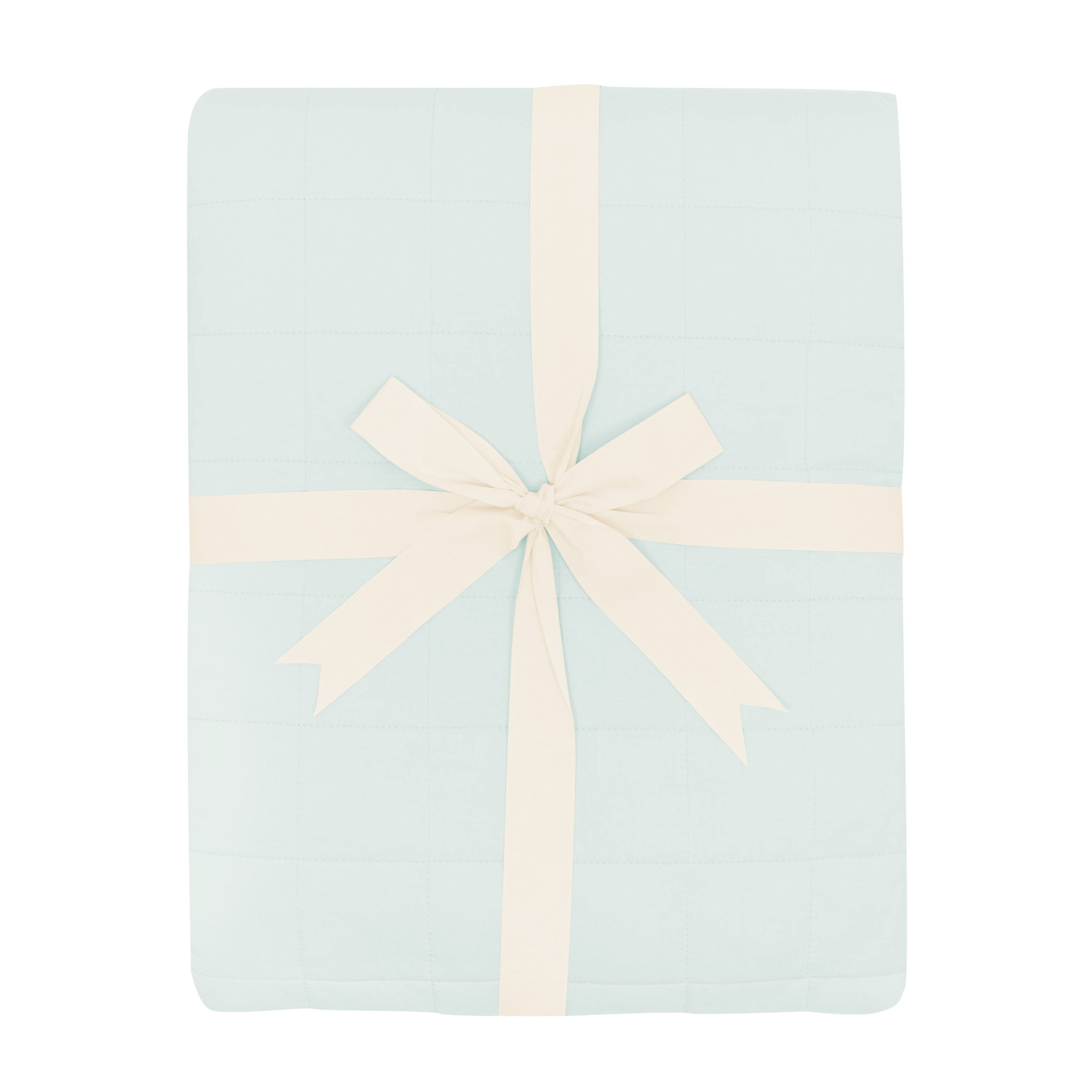 Adult Quilted Blanket in Dew 2.5 shown tied in its packaging