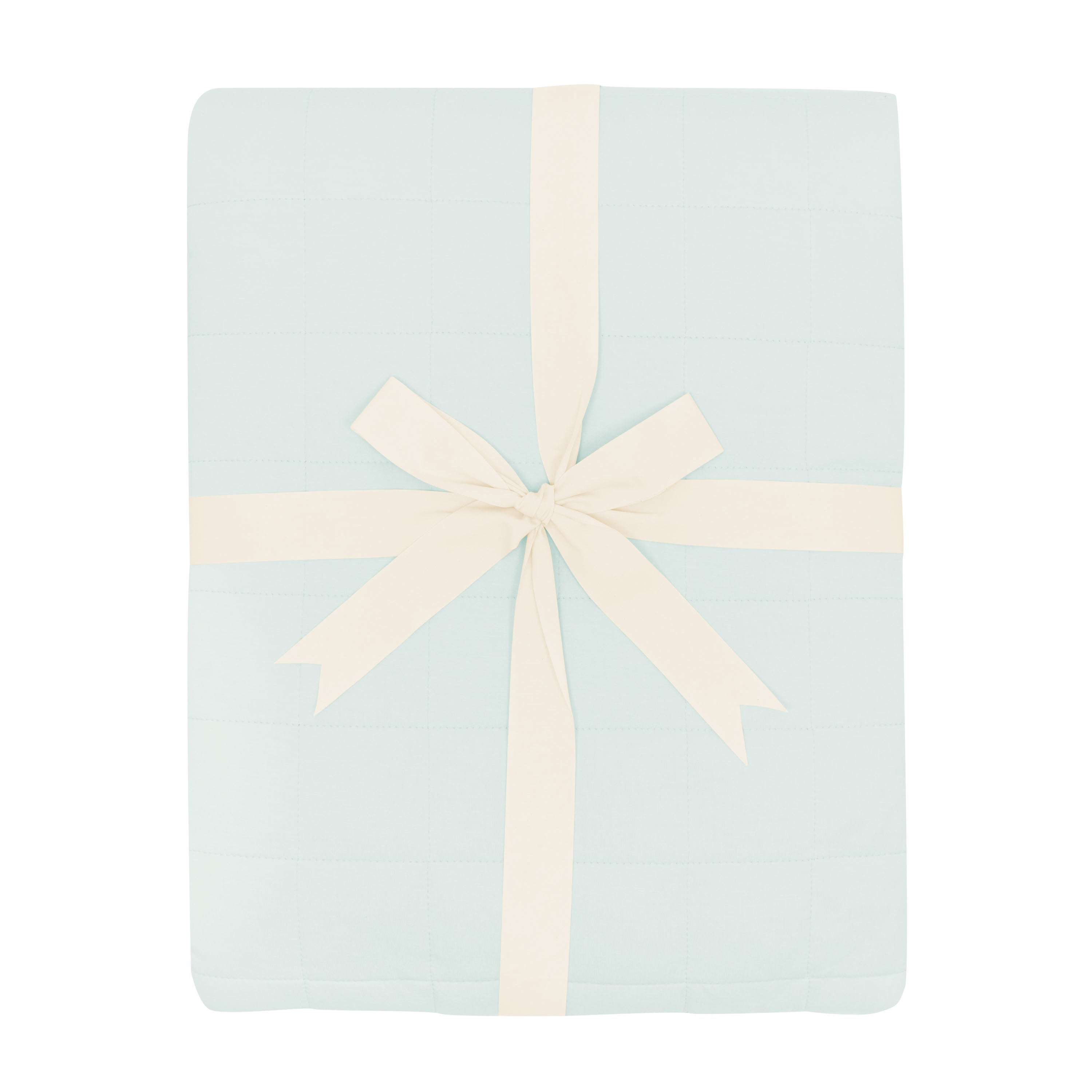 Adult Quilted Blanket in Dew 2.5 shown tied in its packaging