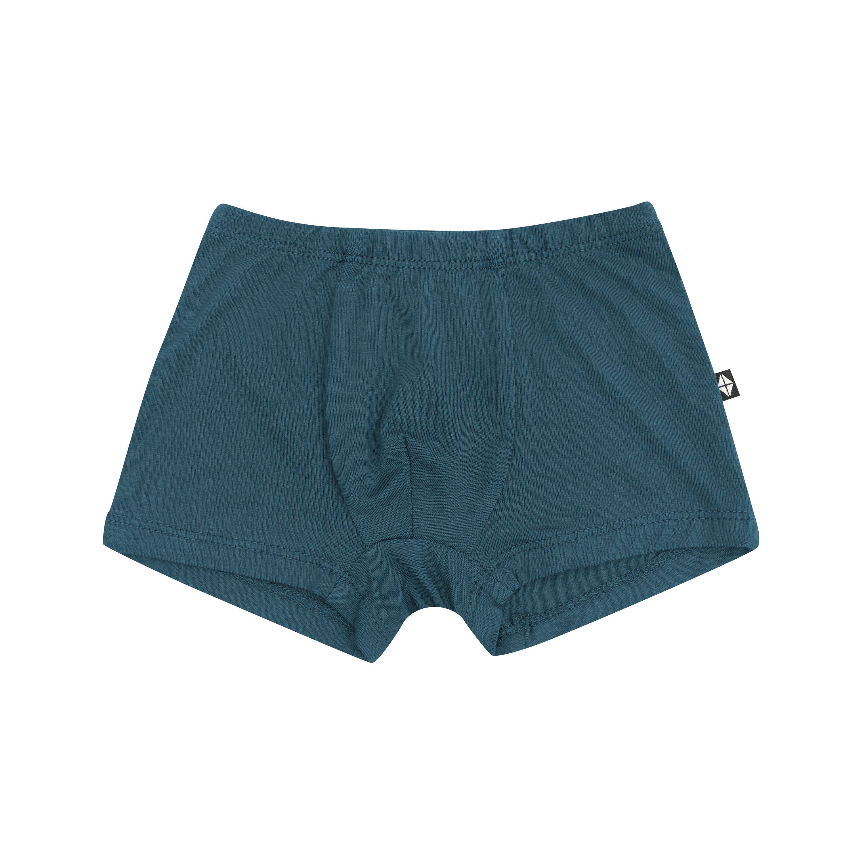 Product photo of the Briefs in Atlantic