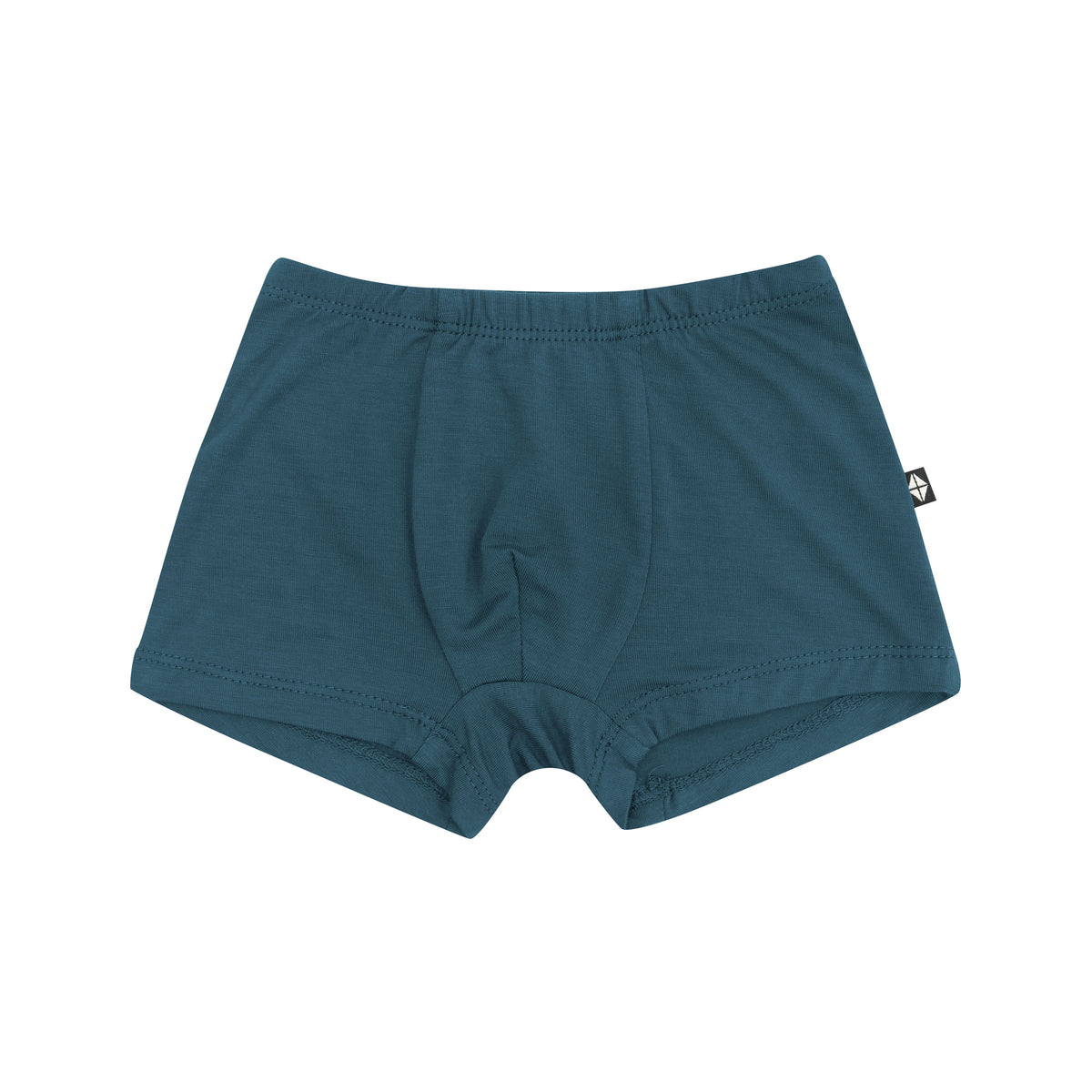 Product photo of the Briefs in Atlantic