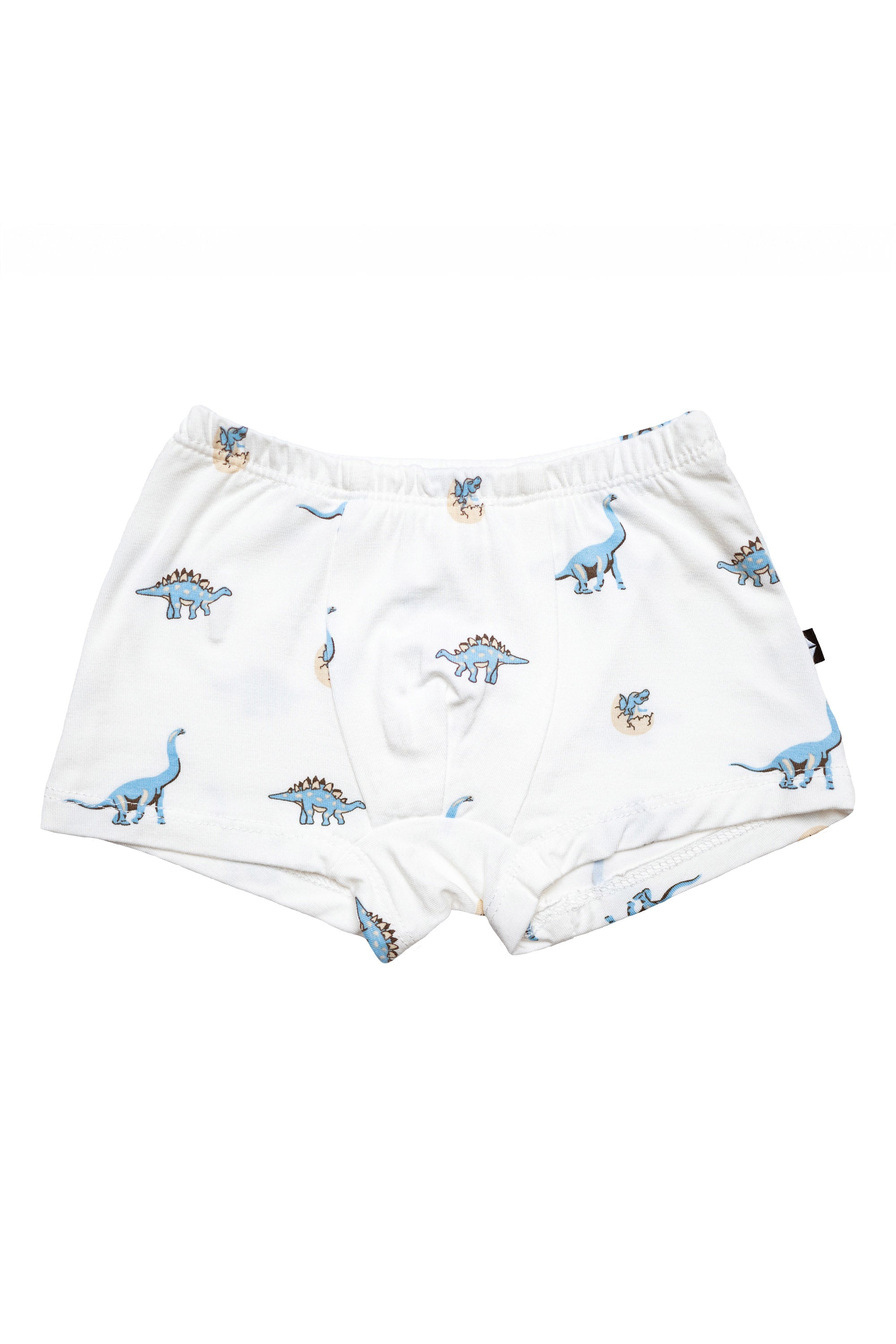 Dinosaur Underwear Briefs in Jurassic