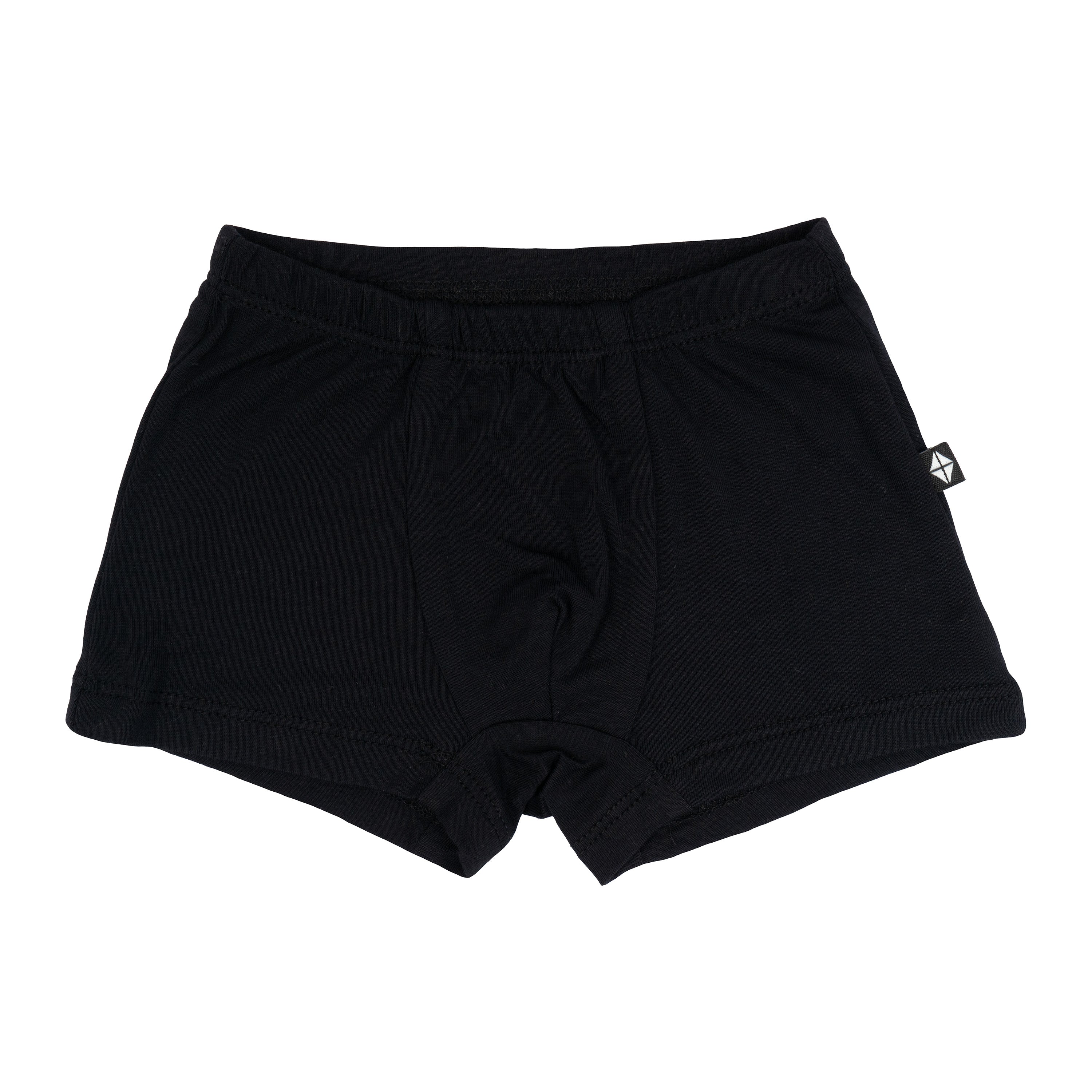 Product photo of the Briefs in Midnight