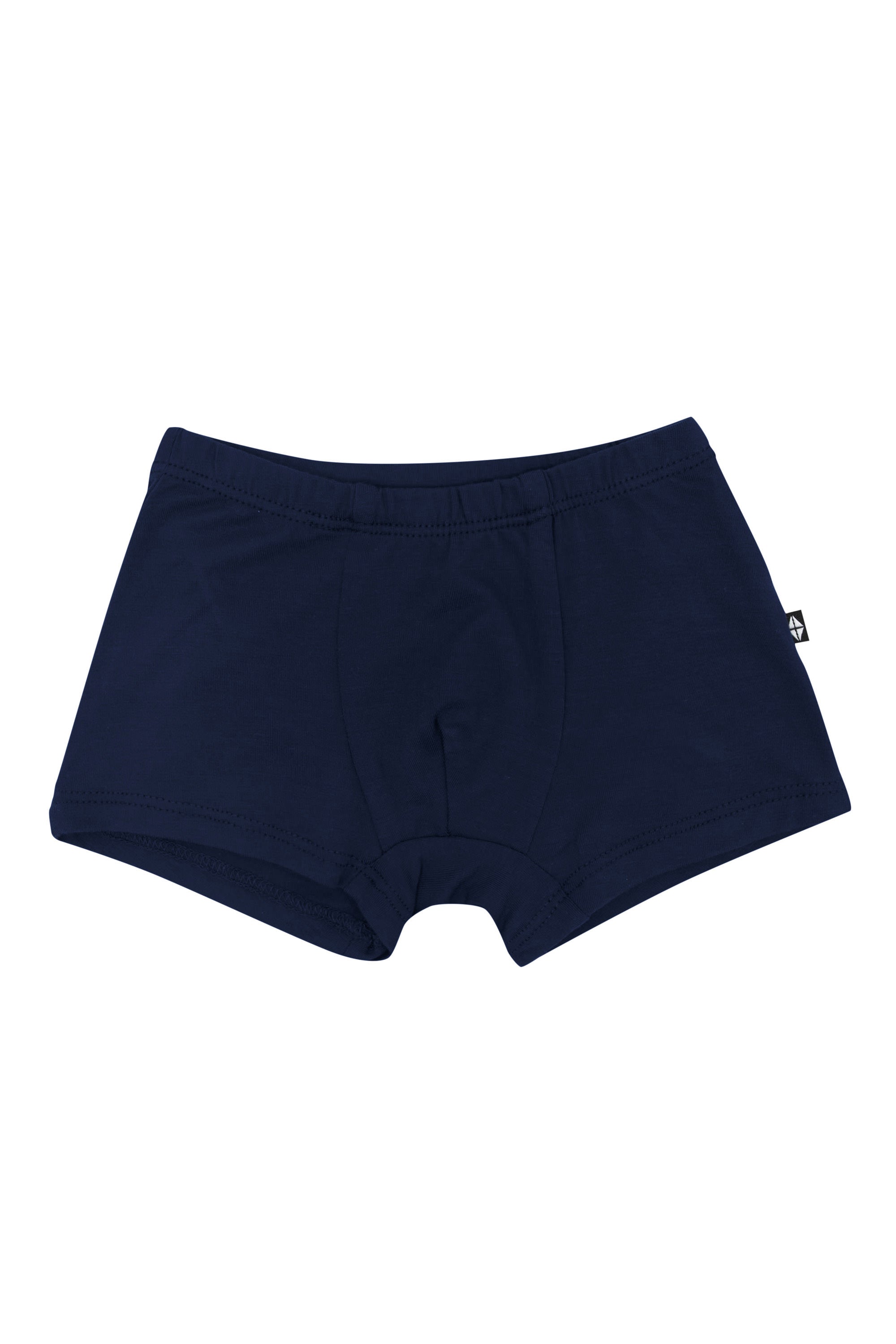 Product photo of the Briefs in Navy