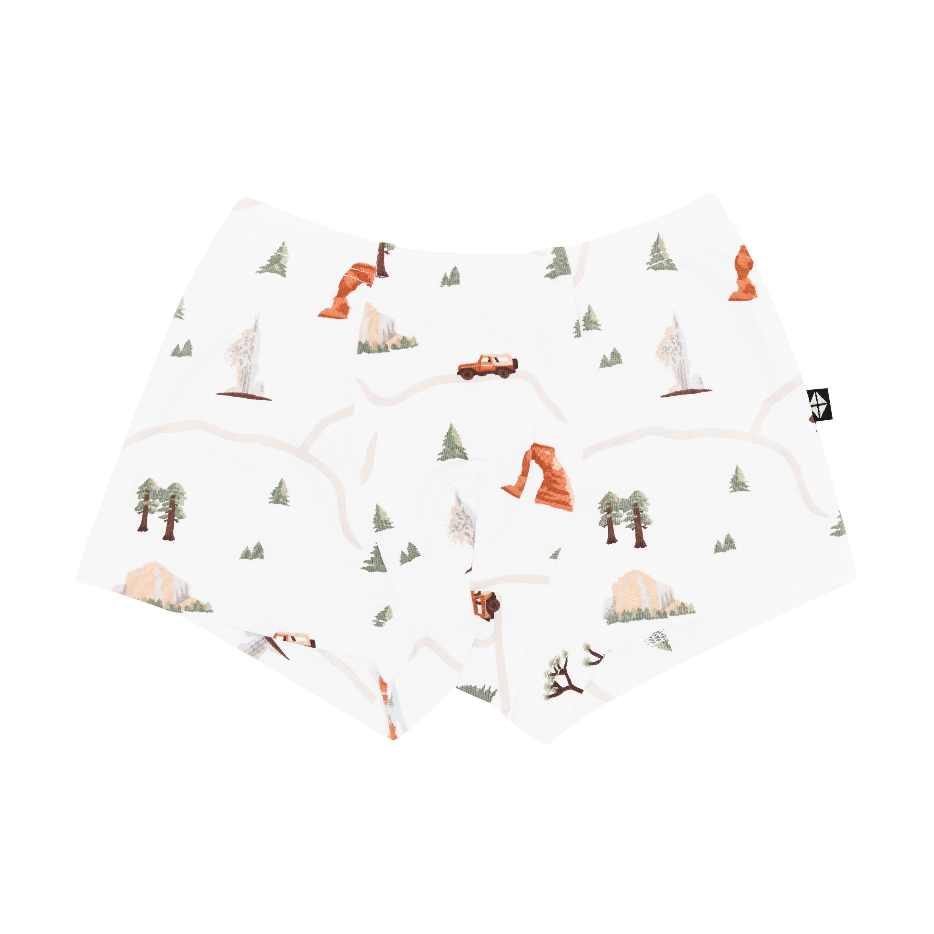 Product photo of the Briefs in Road Trip