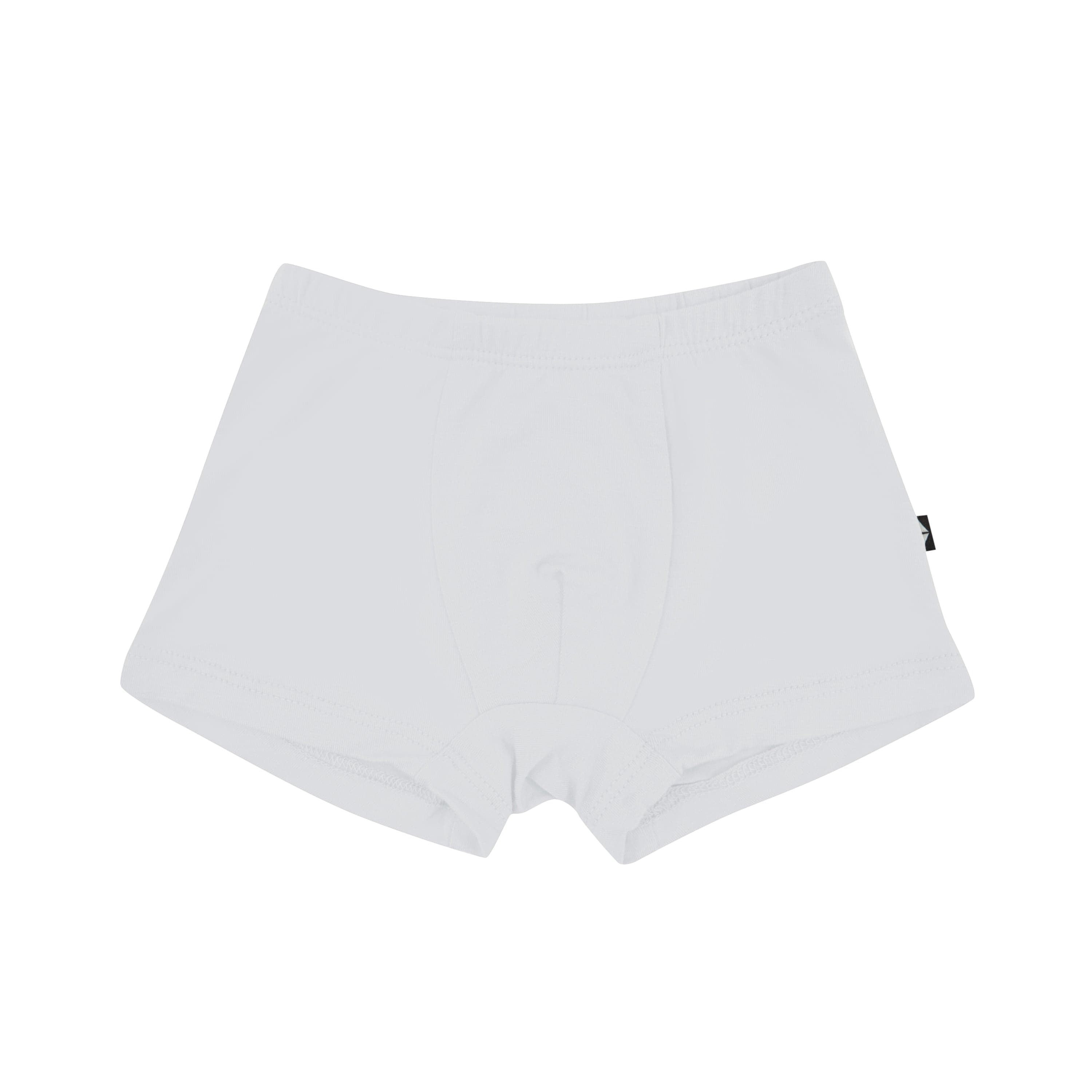 Product photo of the Briefs in Storm