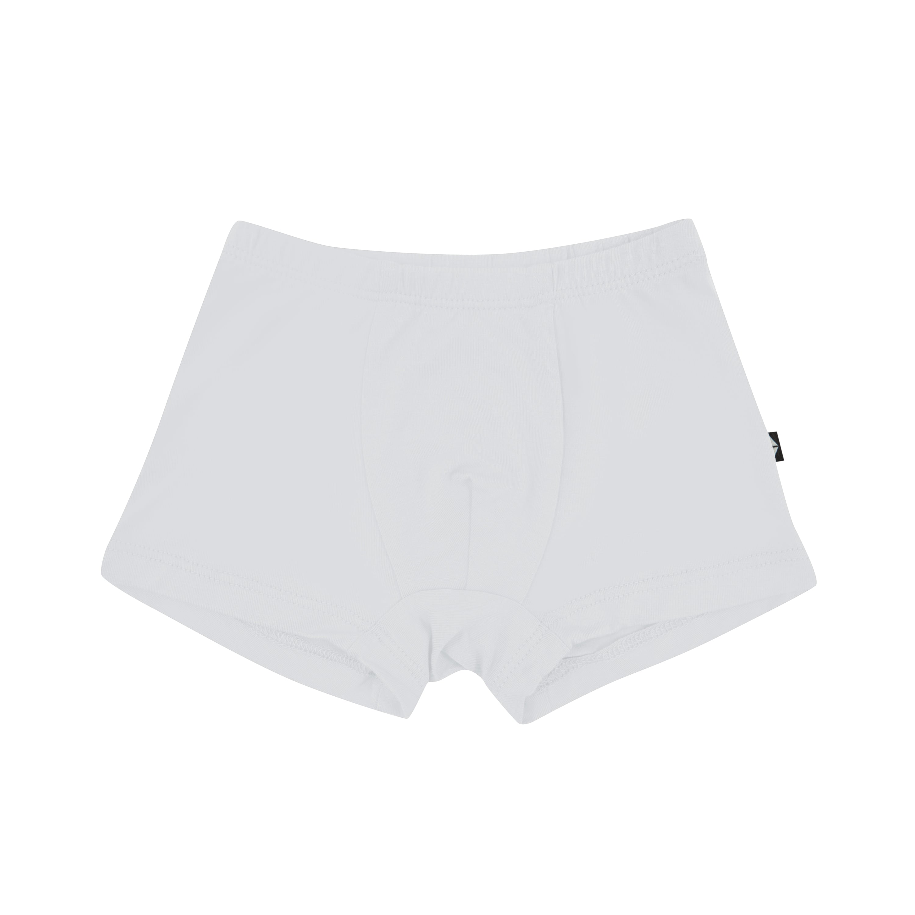Product photo of the Briefs in Storm