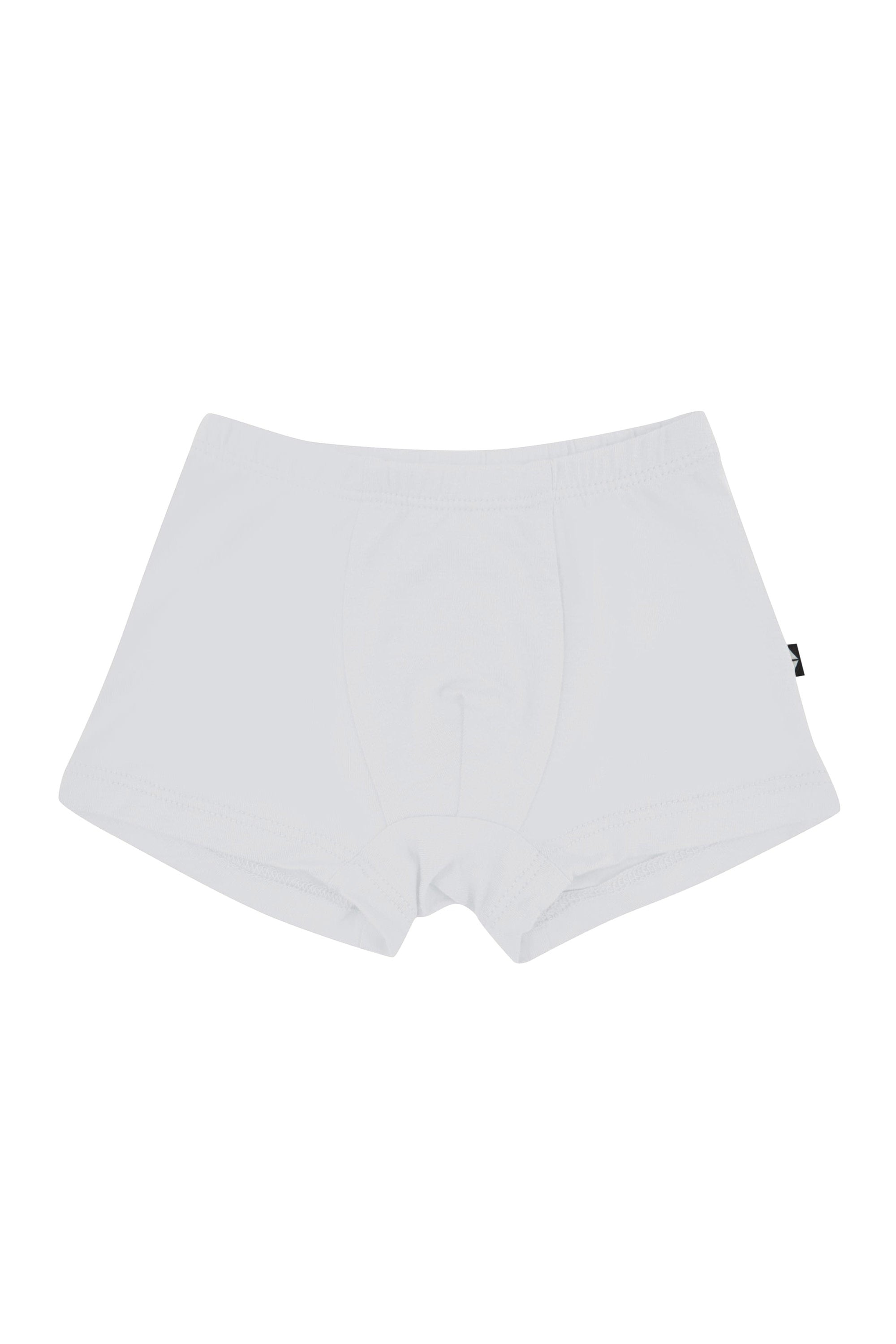Product photo of the Briefs in Storm