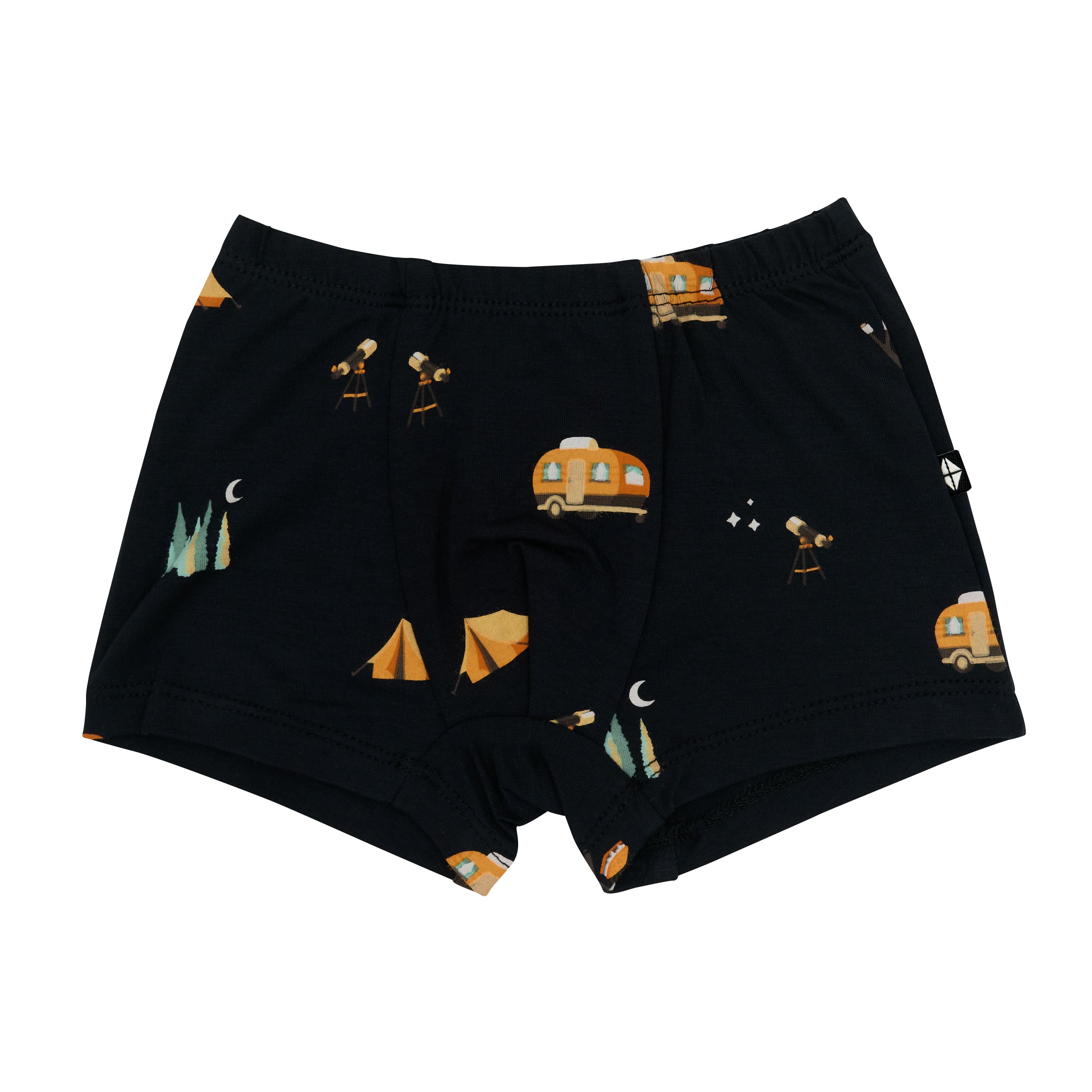 National Parks Underwear Briefs in Under the Stars
