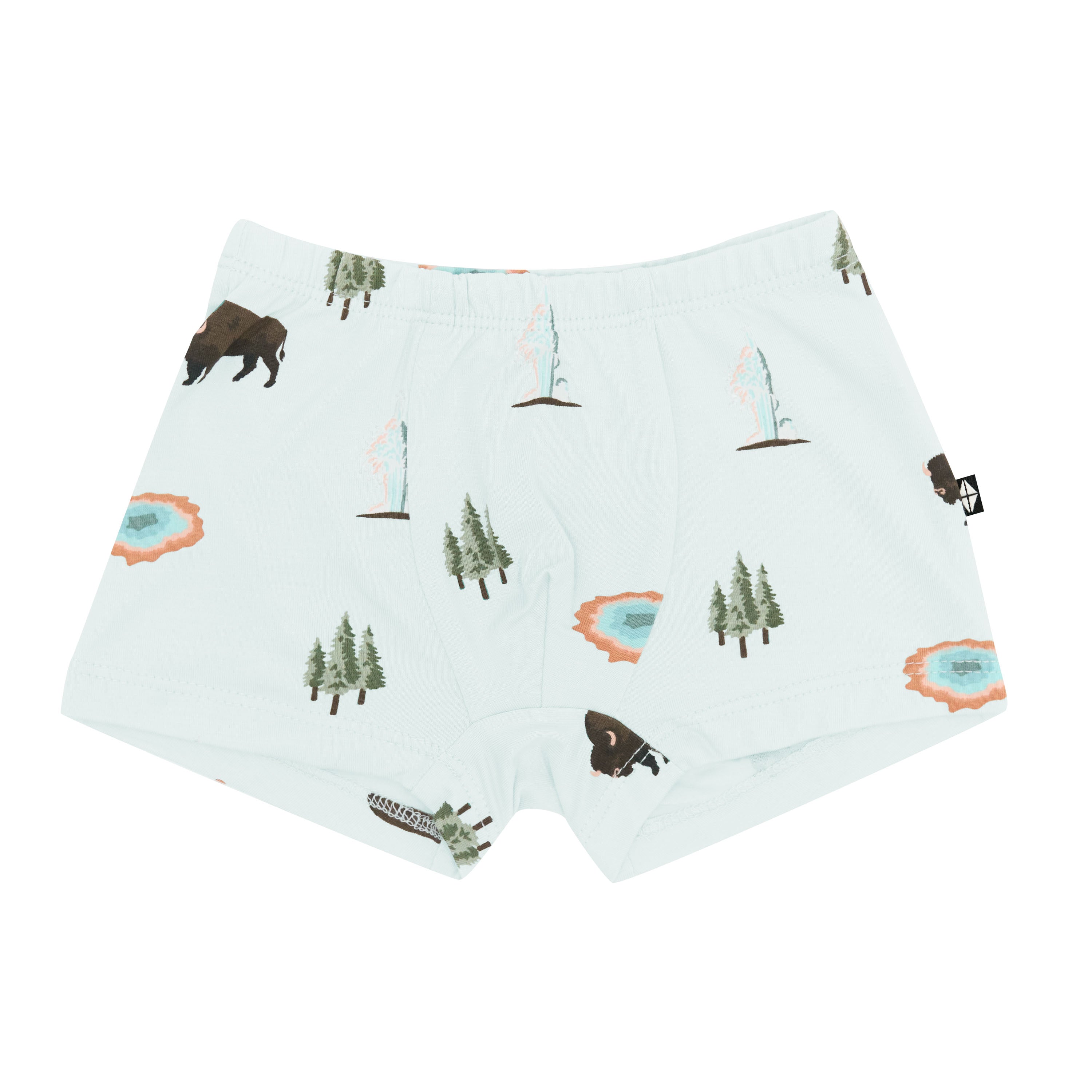 Briefs in Yellowstone National Park