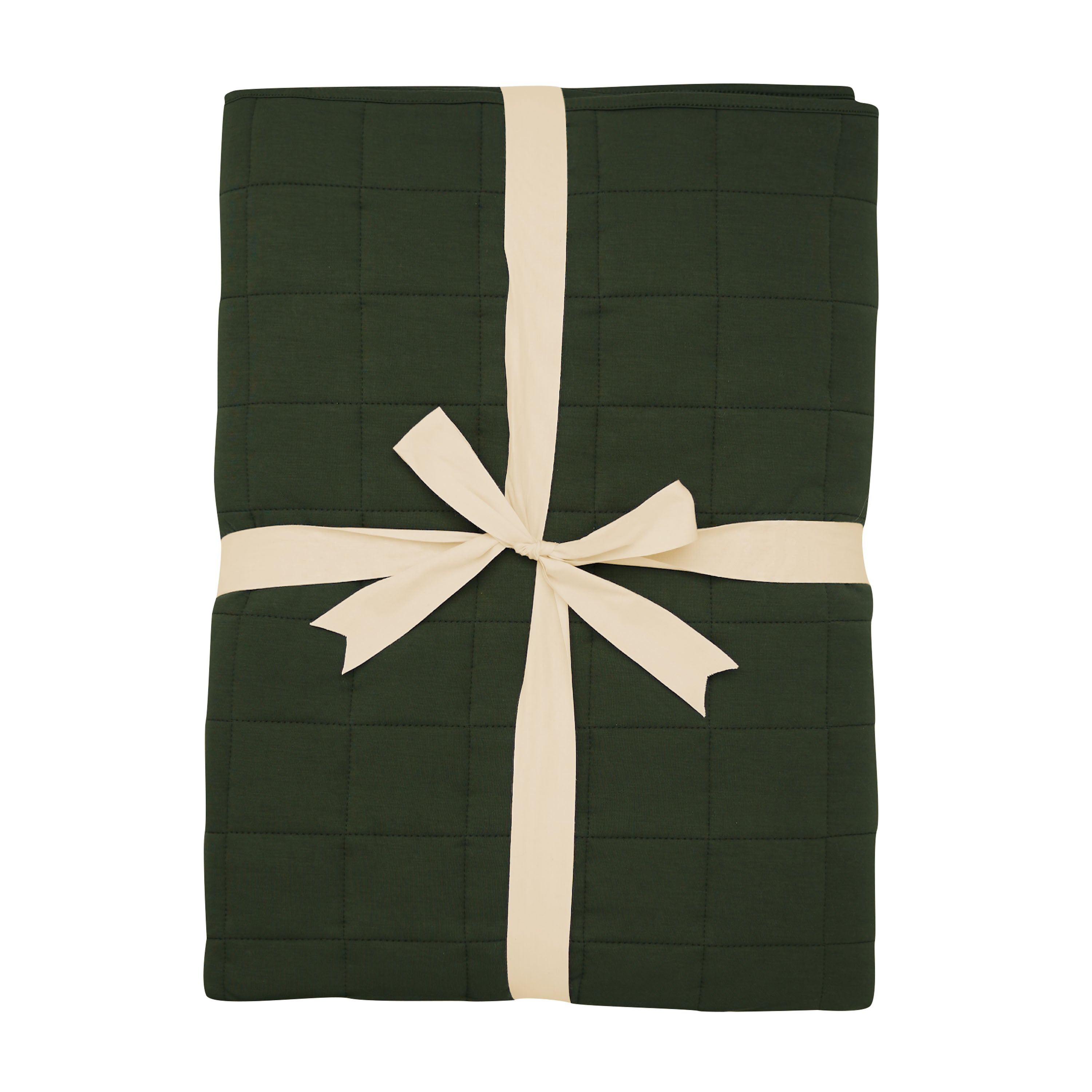 Product photo of the Youth Blanket in Fir 2.5 shown in its packaging