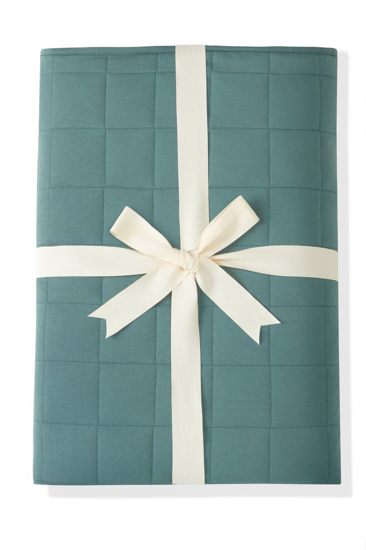Youth Blanket in Pine 2.5 packed in a ribbon on a white background