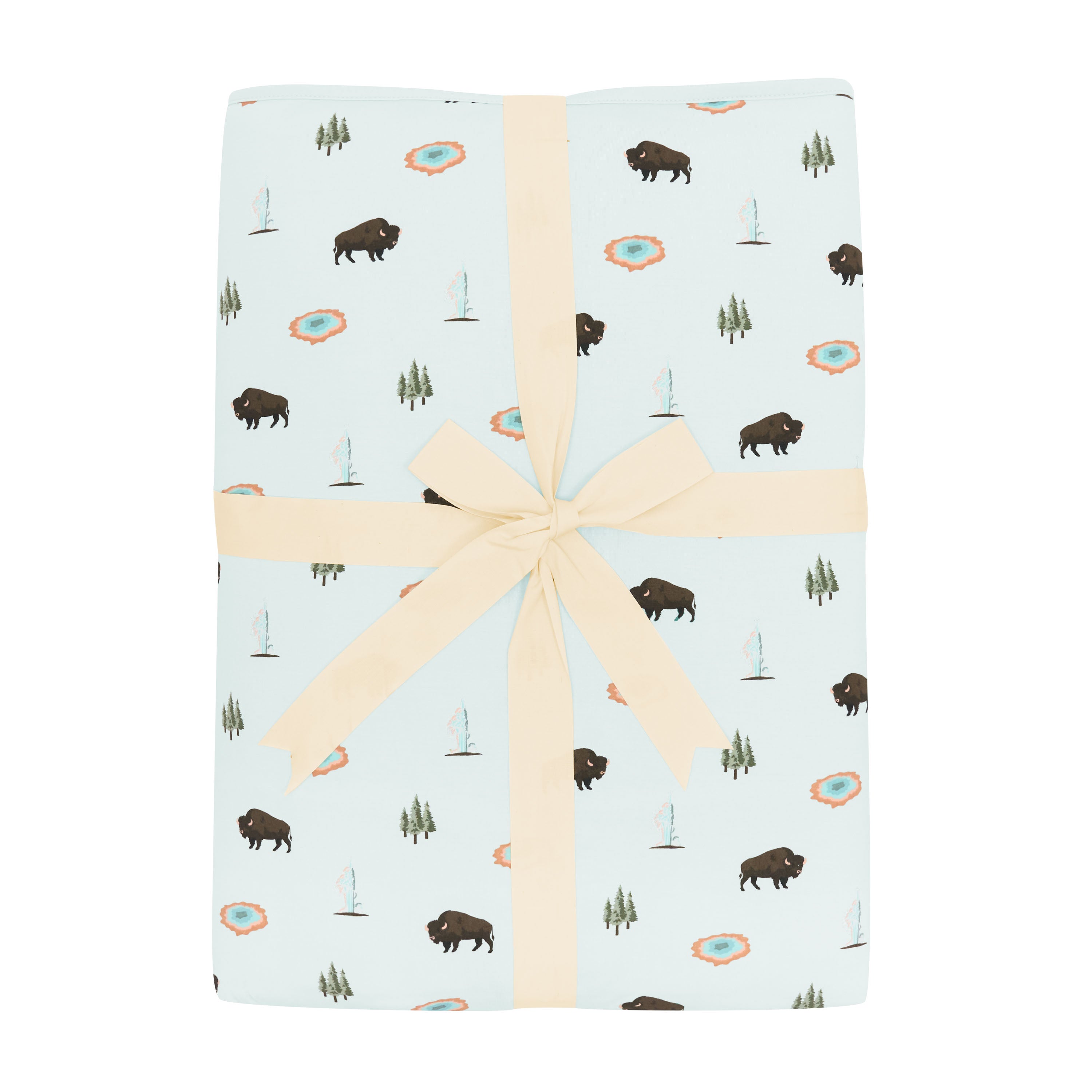 Youth Blanket in Yellowstone 2.5