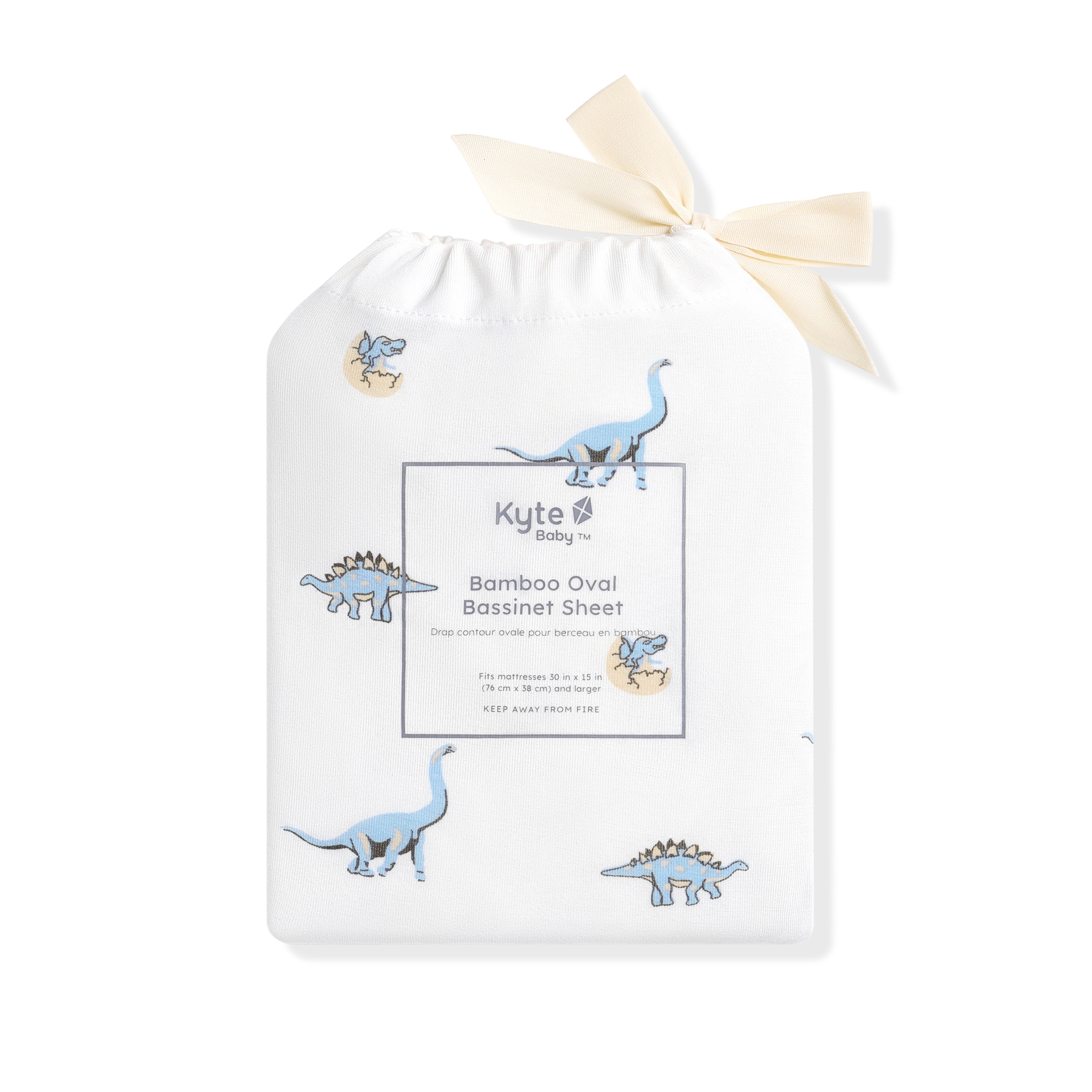 Youth Blanket in Jurassic 1.0 shown in its packaging