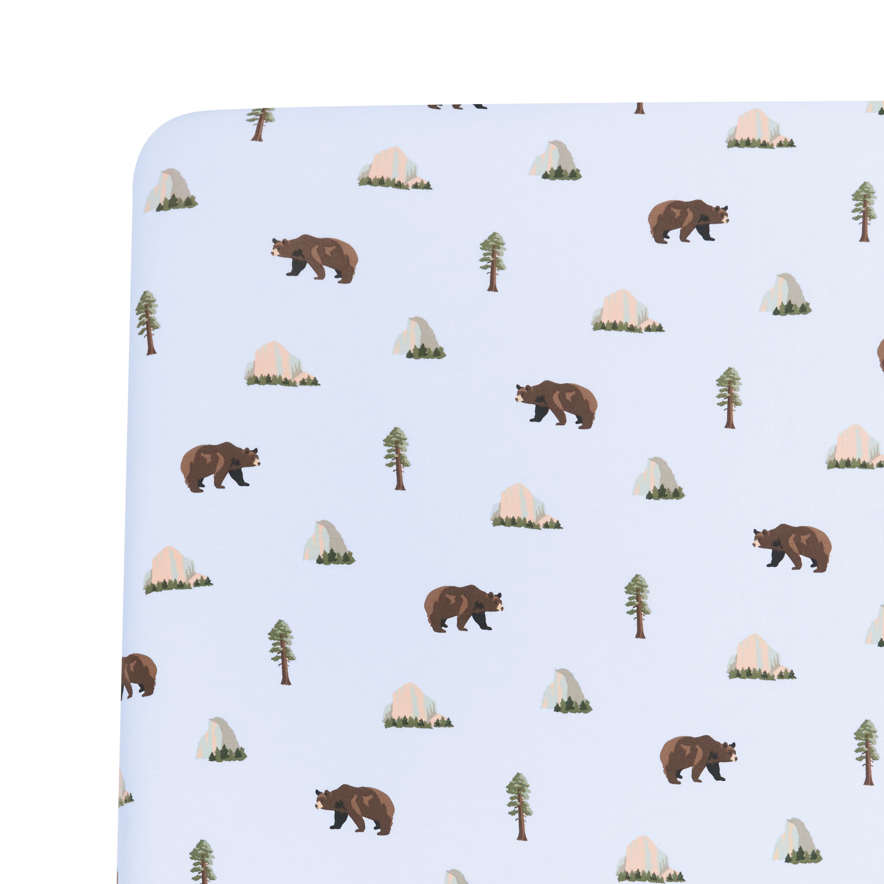 Twin Sheet in Yosemite close up