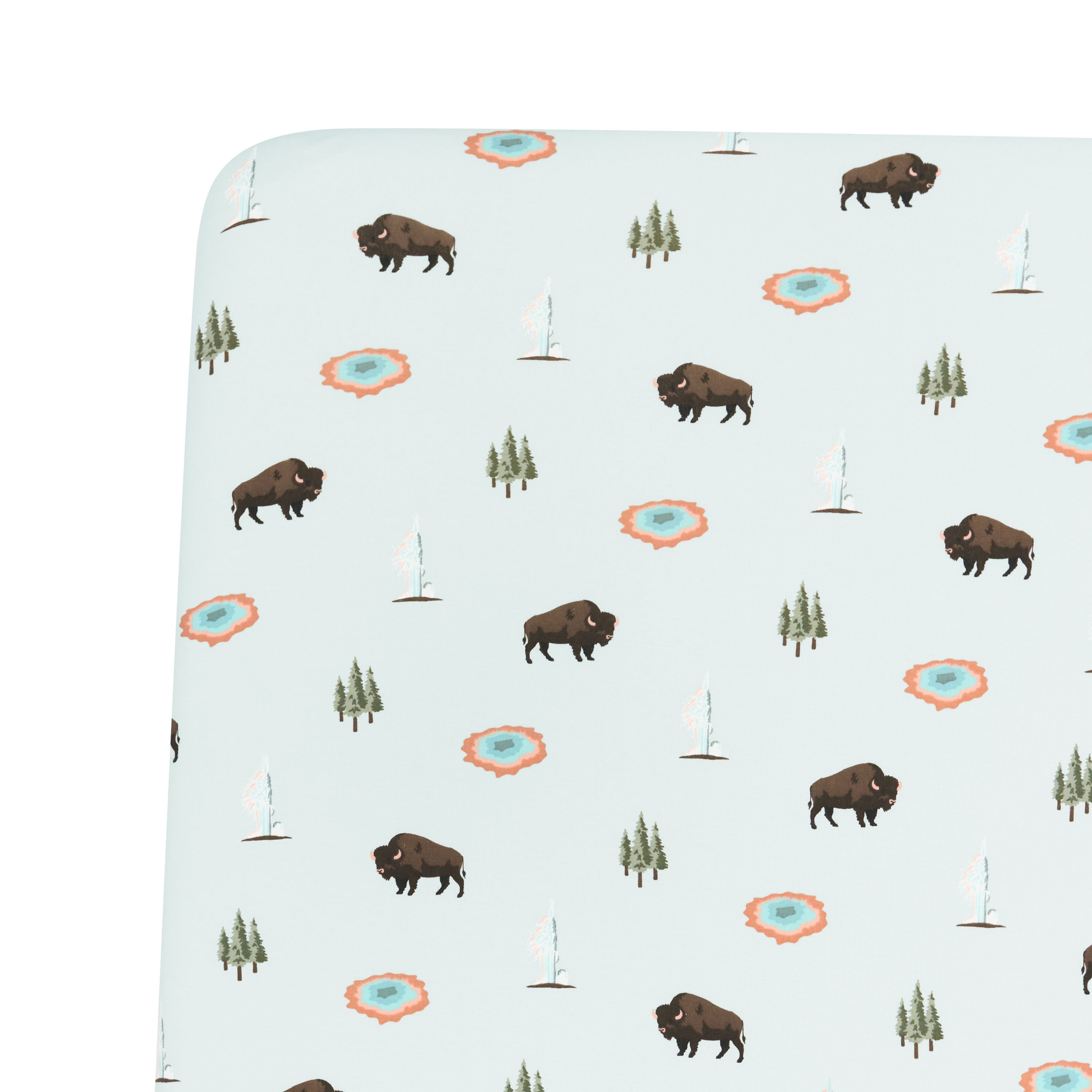 Twin Sheet in Yellowstone close up