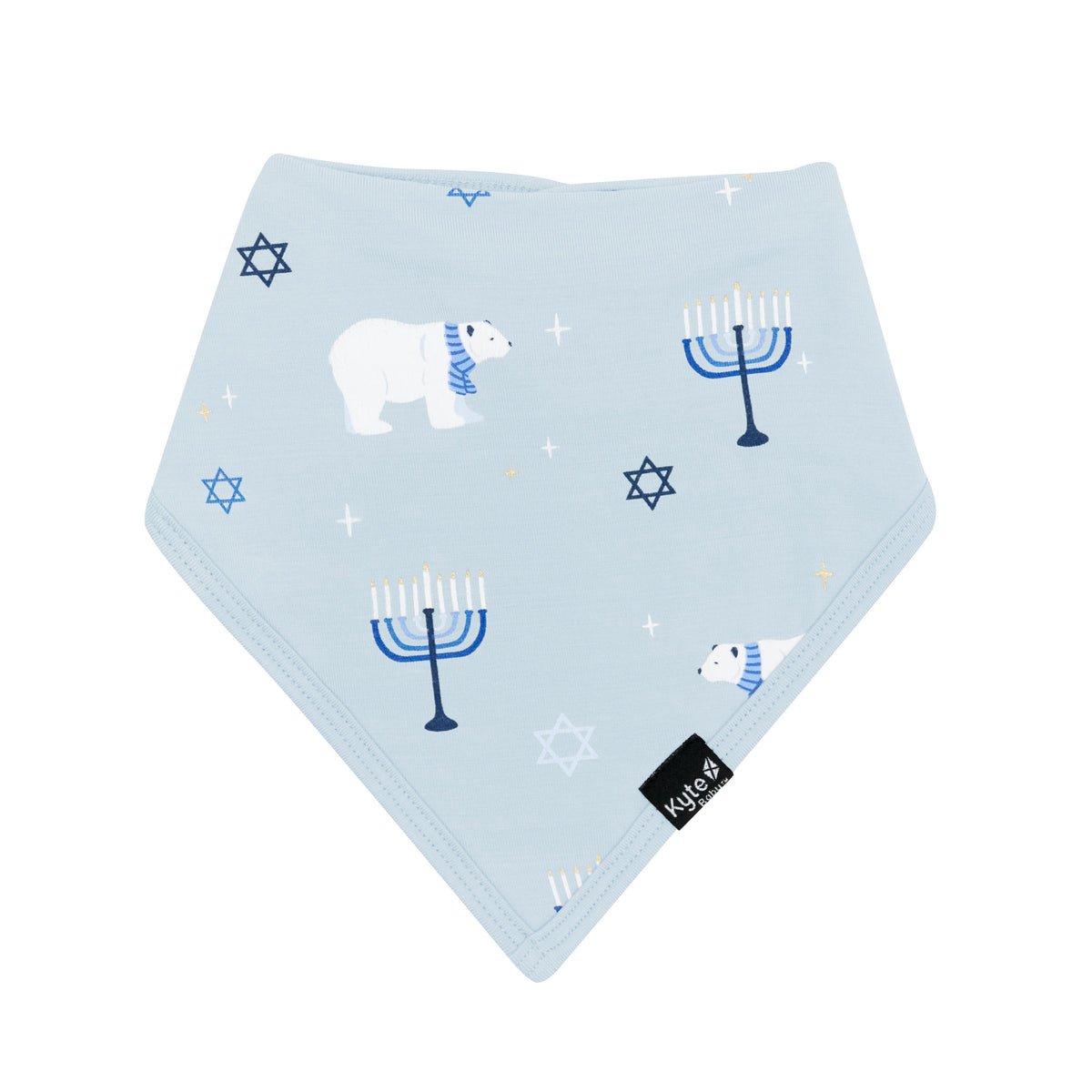 Front of the Bib in Polar Lights