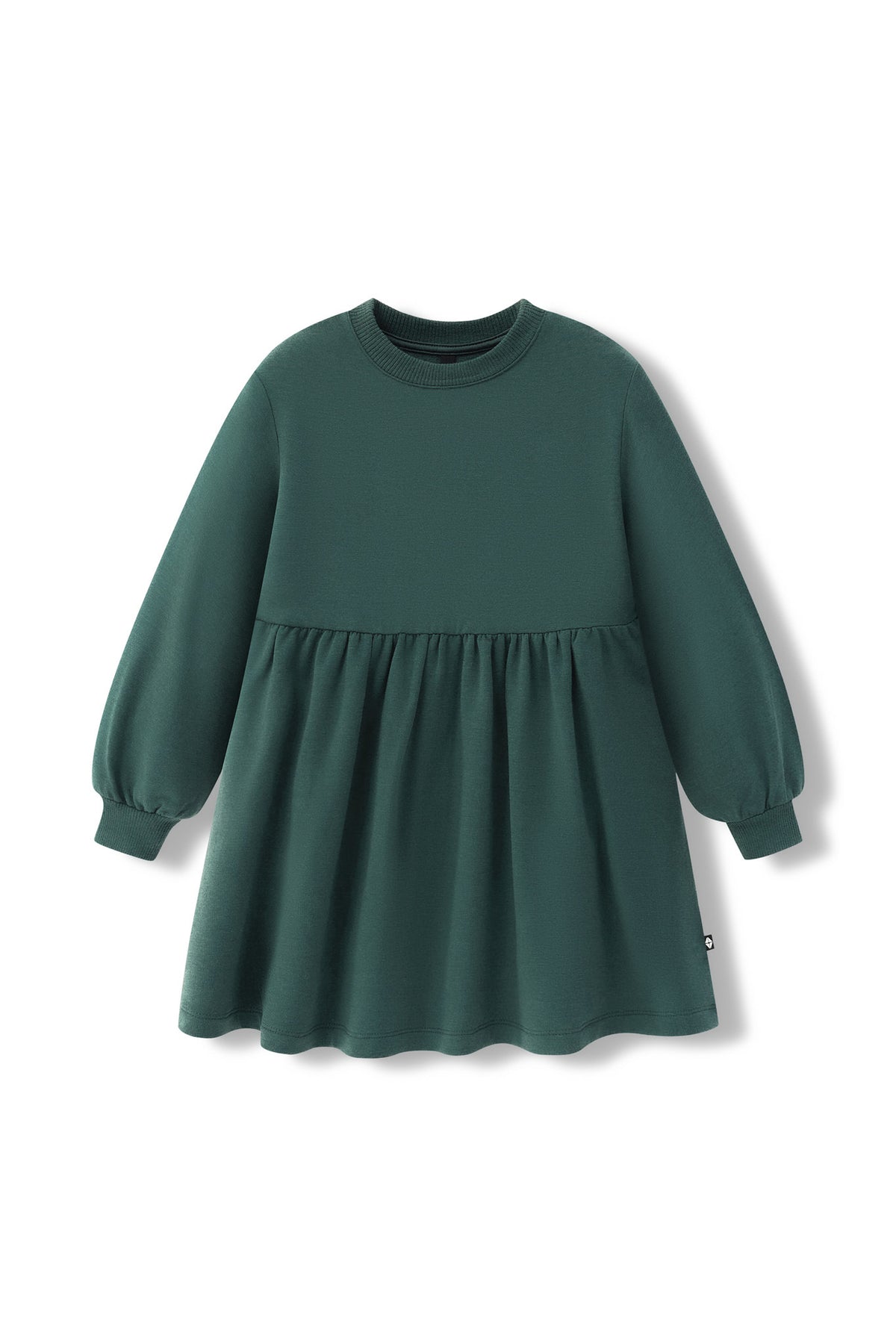 Long Sleeve Skater Dress in Cypress color on a white background
