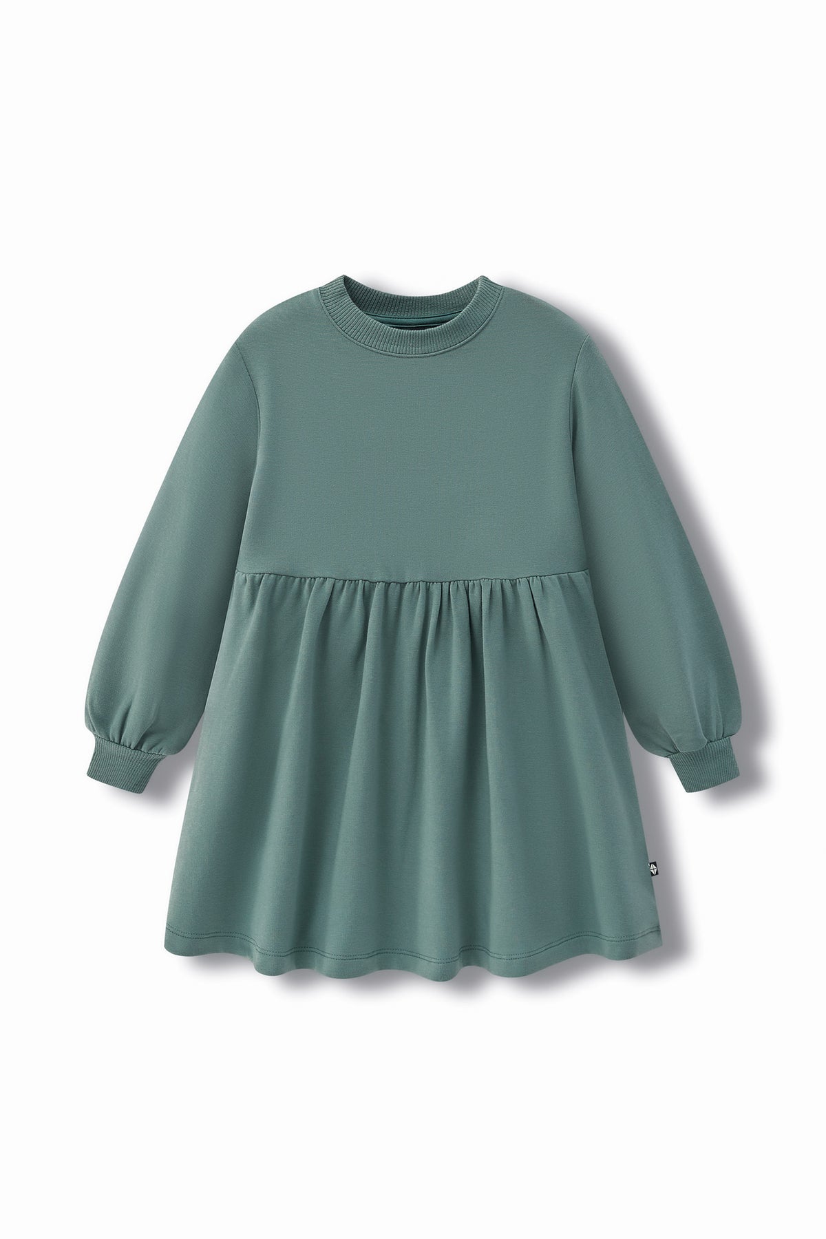 Long Sleeve Skater Dress in Pine color on a white background