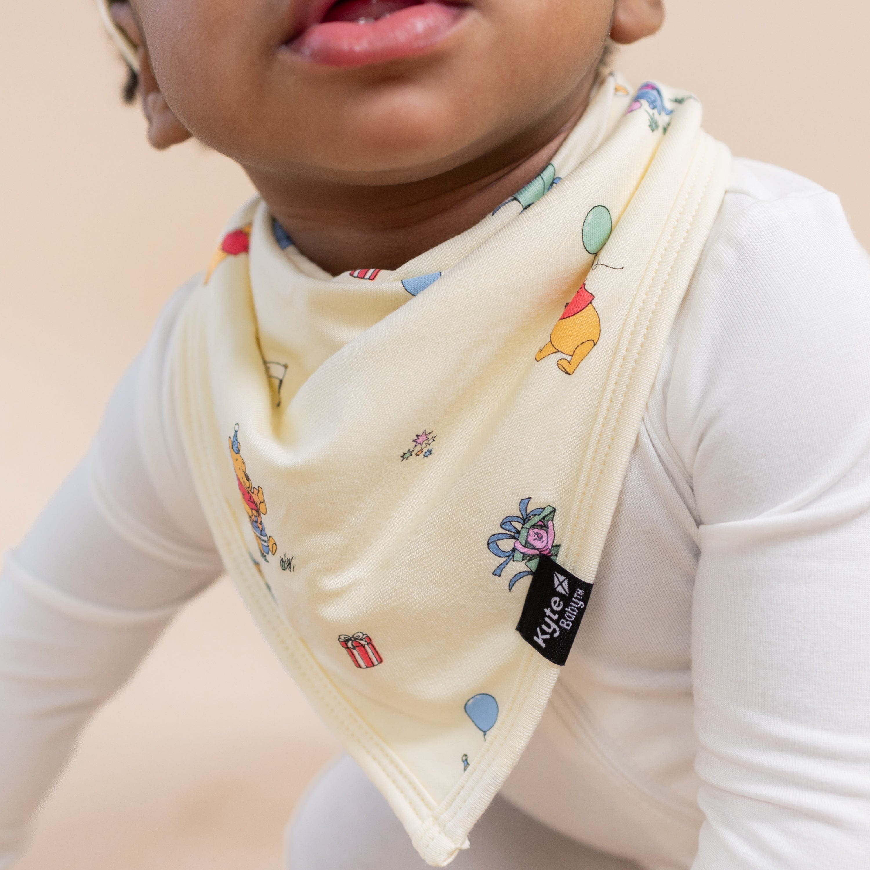 Close up of the Bib in Winnie the Pooh Celebration shown on a toddler