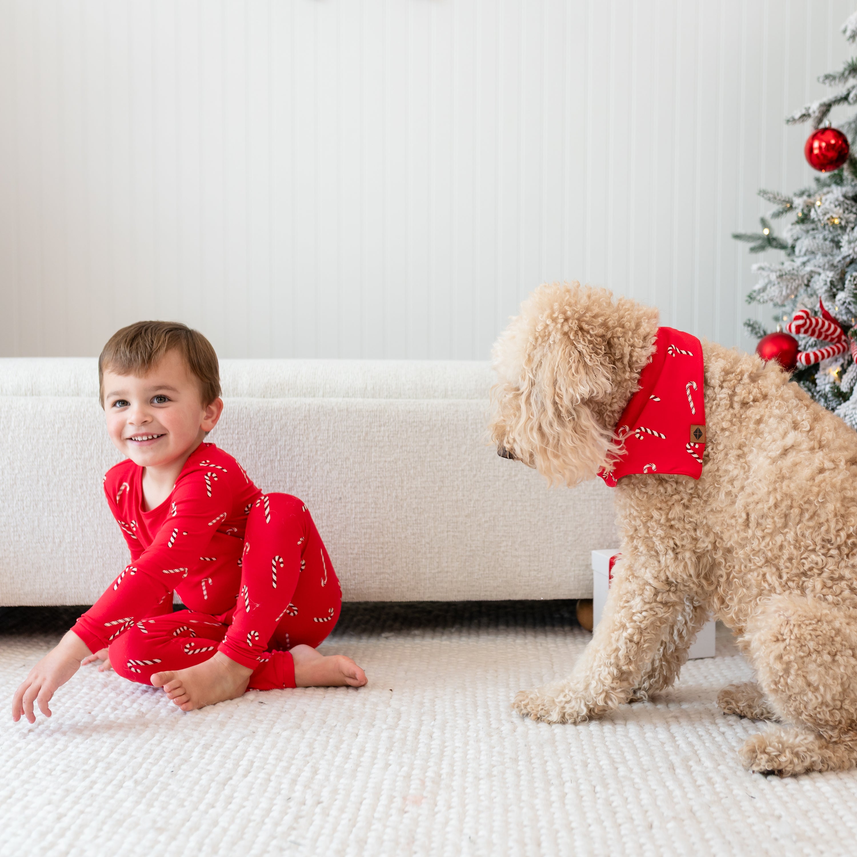 Young boy wearing the long sleeve toddler pajamas in Candy Cane sitting on the floor on top of a cream rug beside a medium sized dog wearing the Dog Bandana in Candy Cane