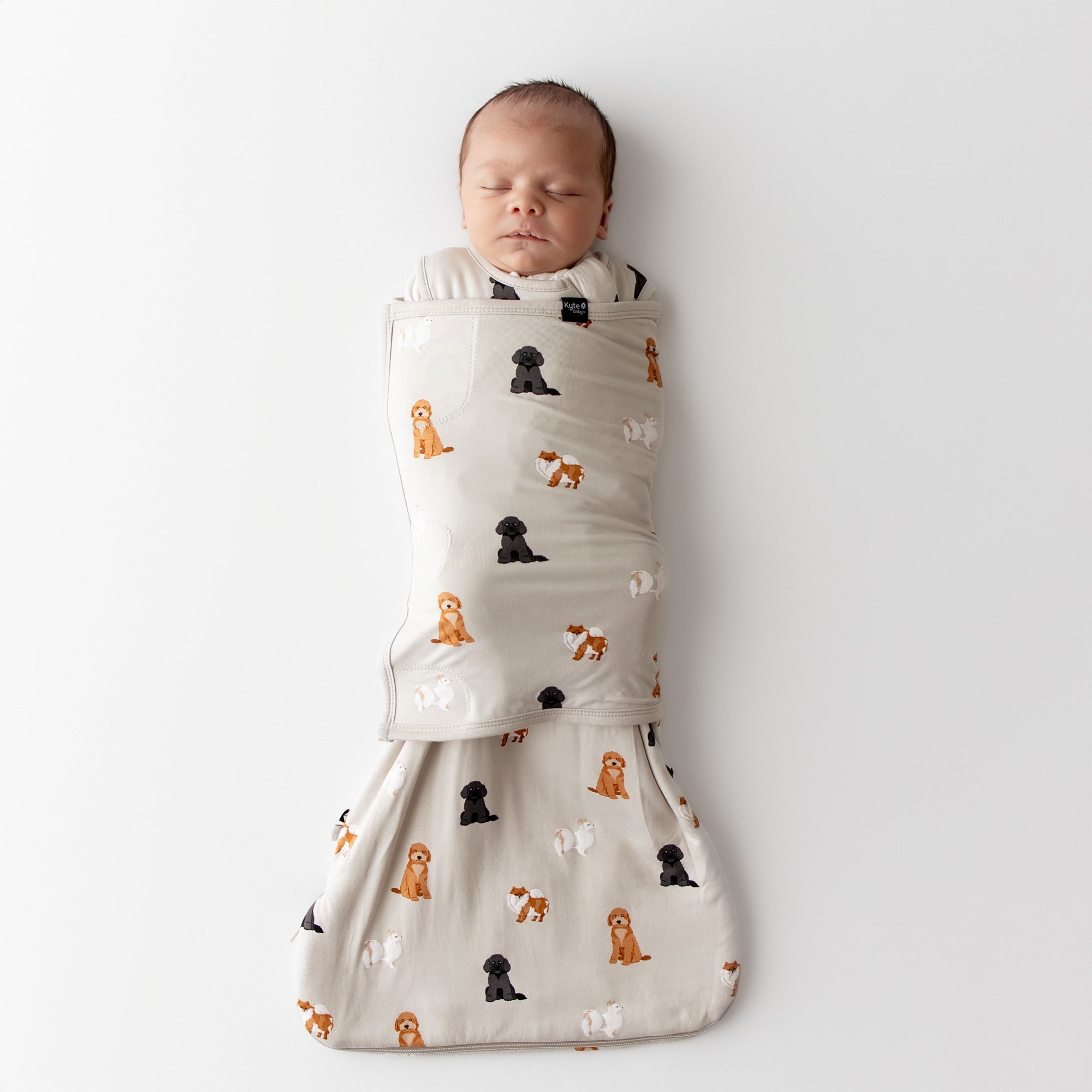 Newborn baby swaddled in a cream colored kyte baby sleep bag swaddler with a dog pattern on a white background
