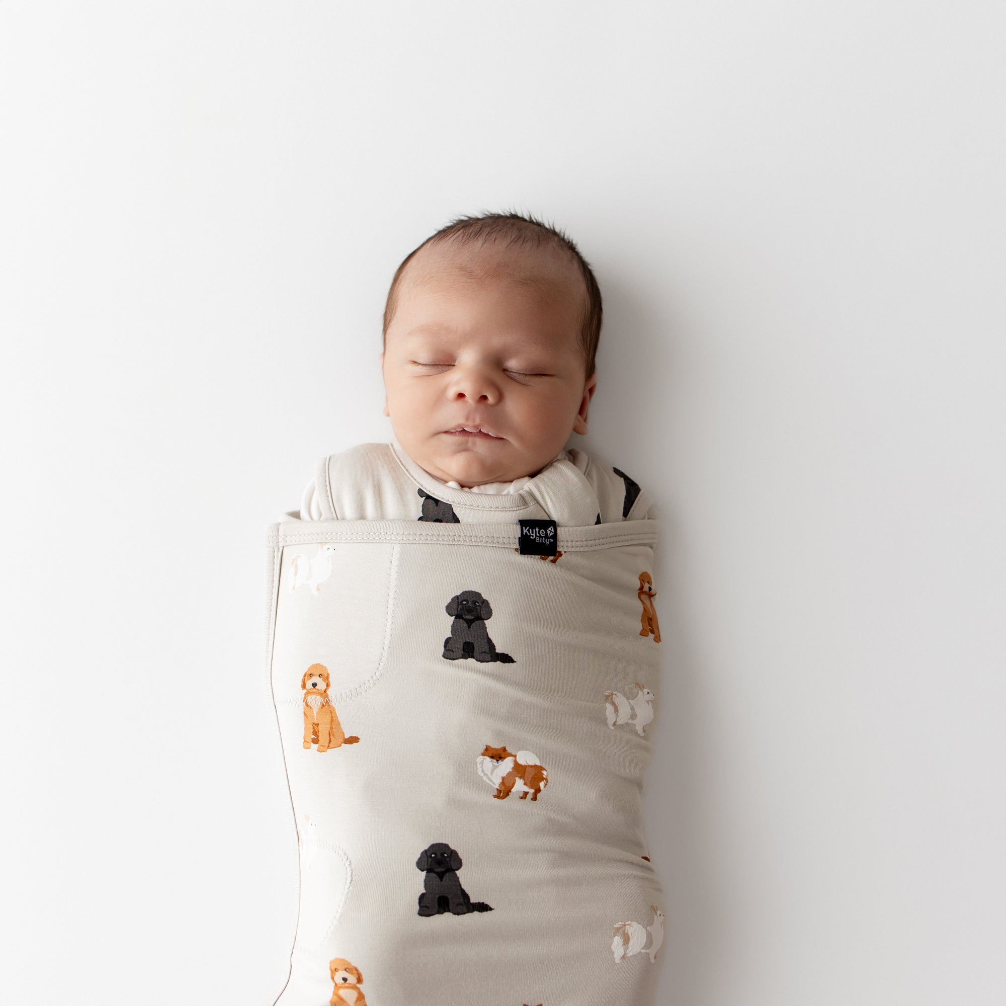 Close up on newborn baby swaddled in a cream colored kyte baby sleep bag swaddler with a dog pattern on a white background