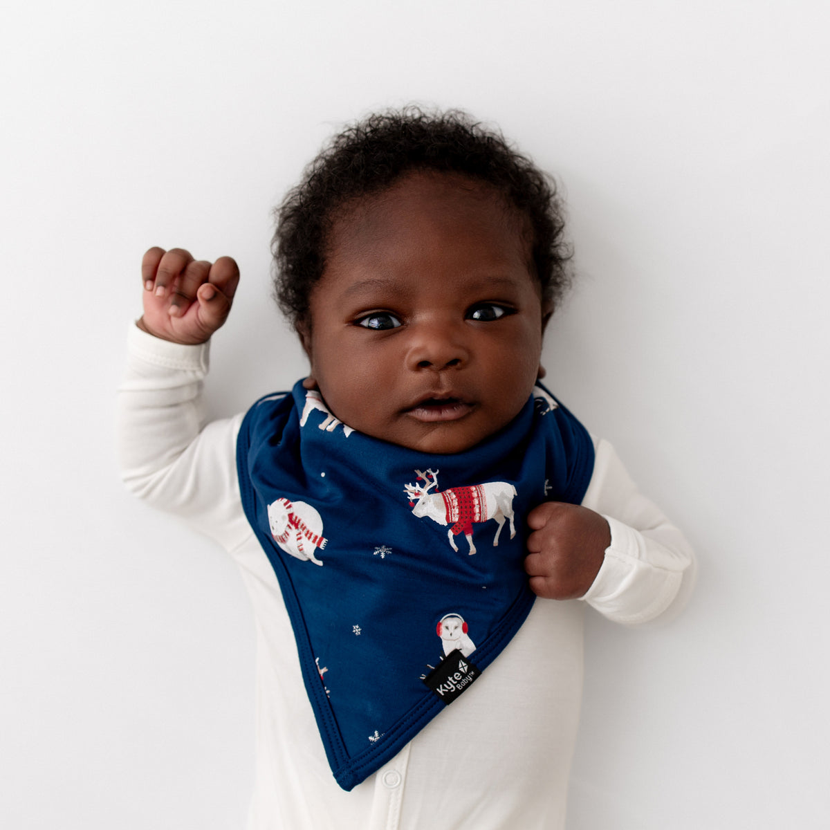 Bib in Frosty Friends shown on a newborn baby laying on a white background