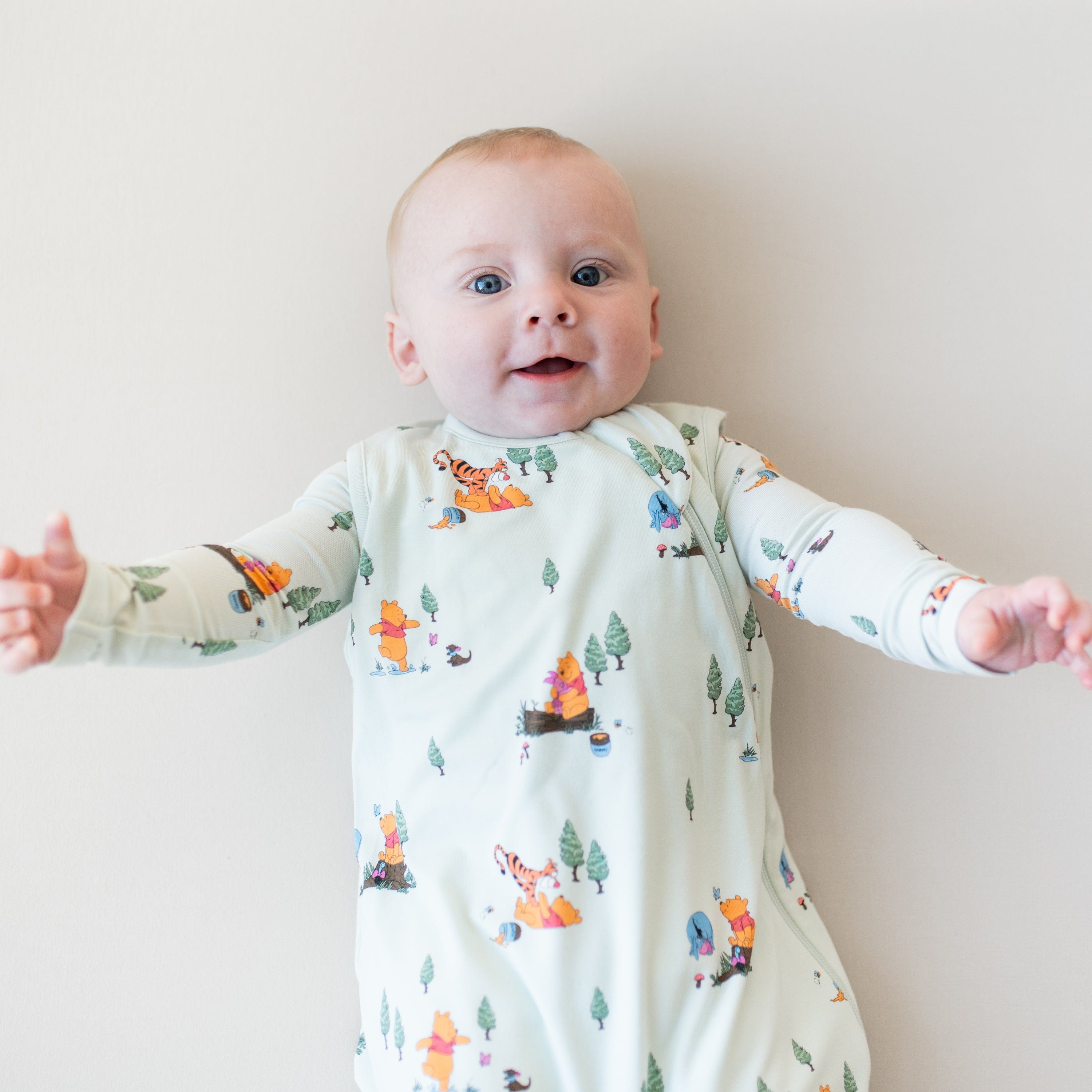 Close up of the Sleep Bag in Winnie the Pooh Hundred Acre Wood 0.5 on an infant model