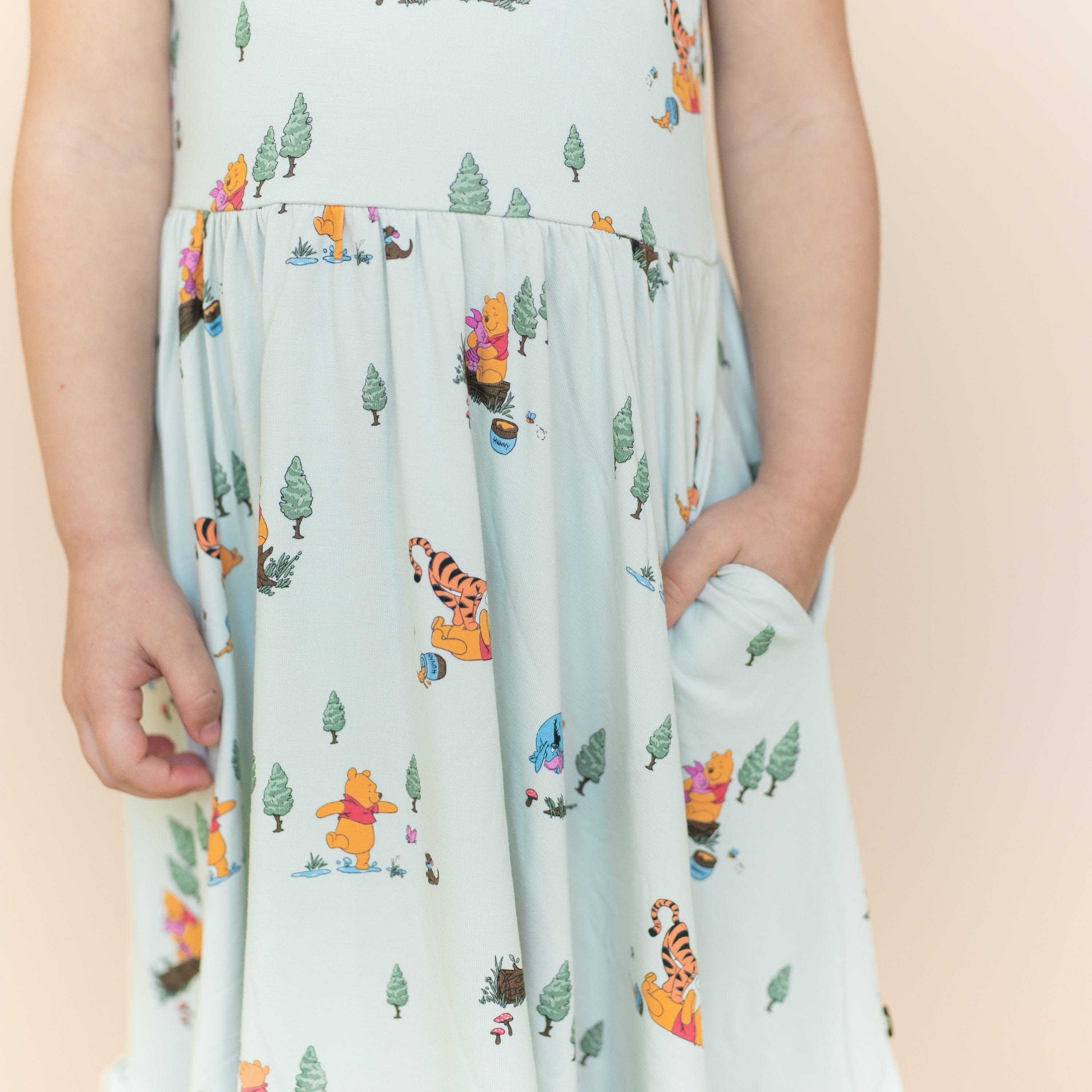 Close up of the pocket on the Puff Sleeve Twirl Dress in Winnie the Pooh Hundred Acre Wood