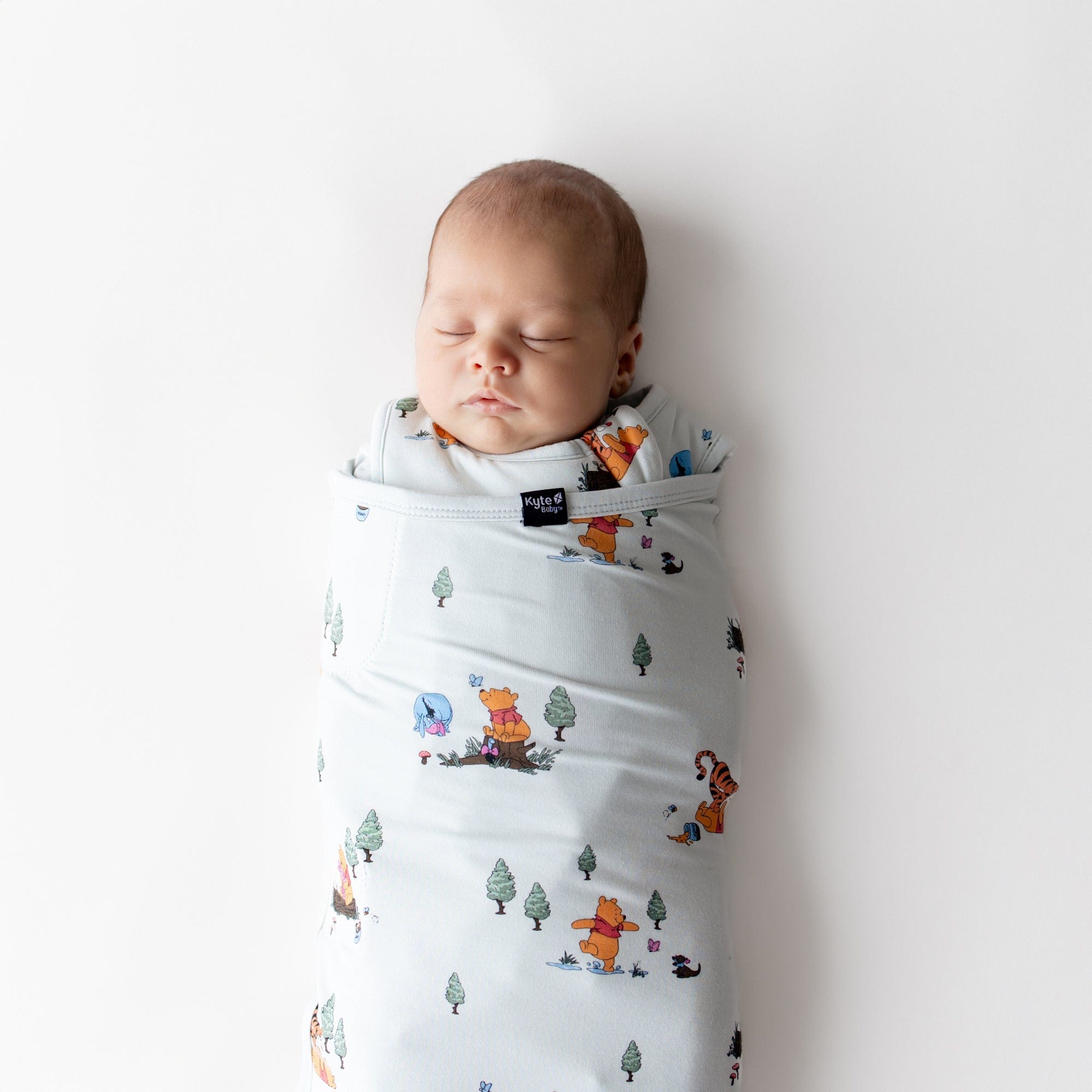 Close up of sleeping newborn swaddled in the Sleep Bag Swaddler in Winnie the Pooh Hundred Acre Wood 1.0