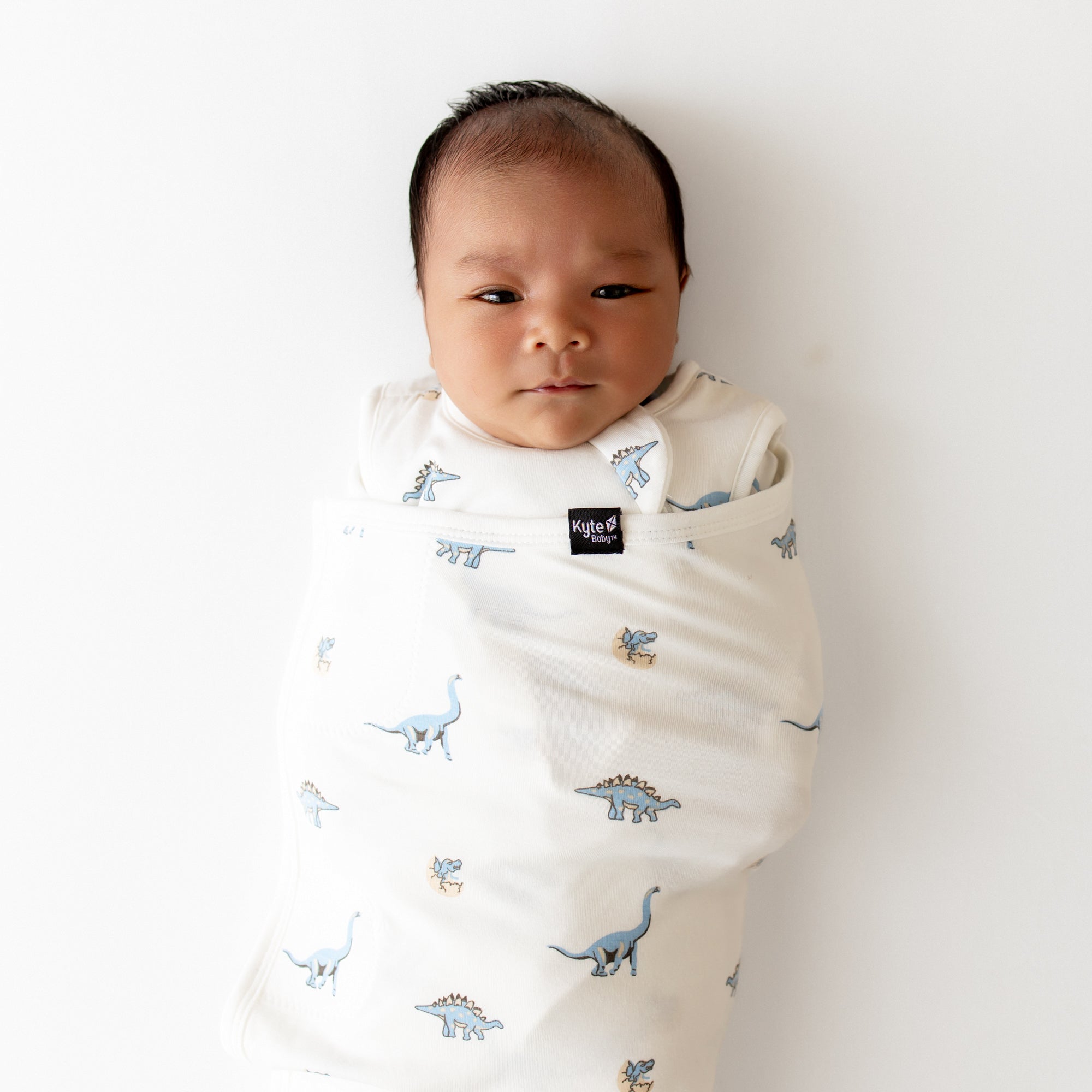 Newborn baby swaddled in a white swaddler with blue dinosaur pattern on a white background