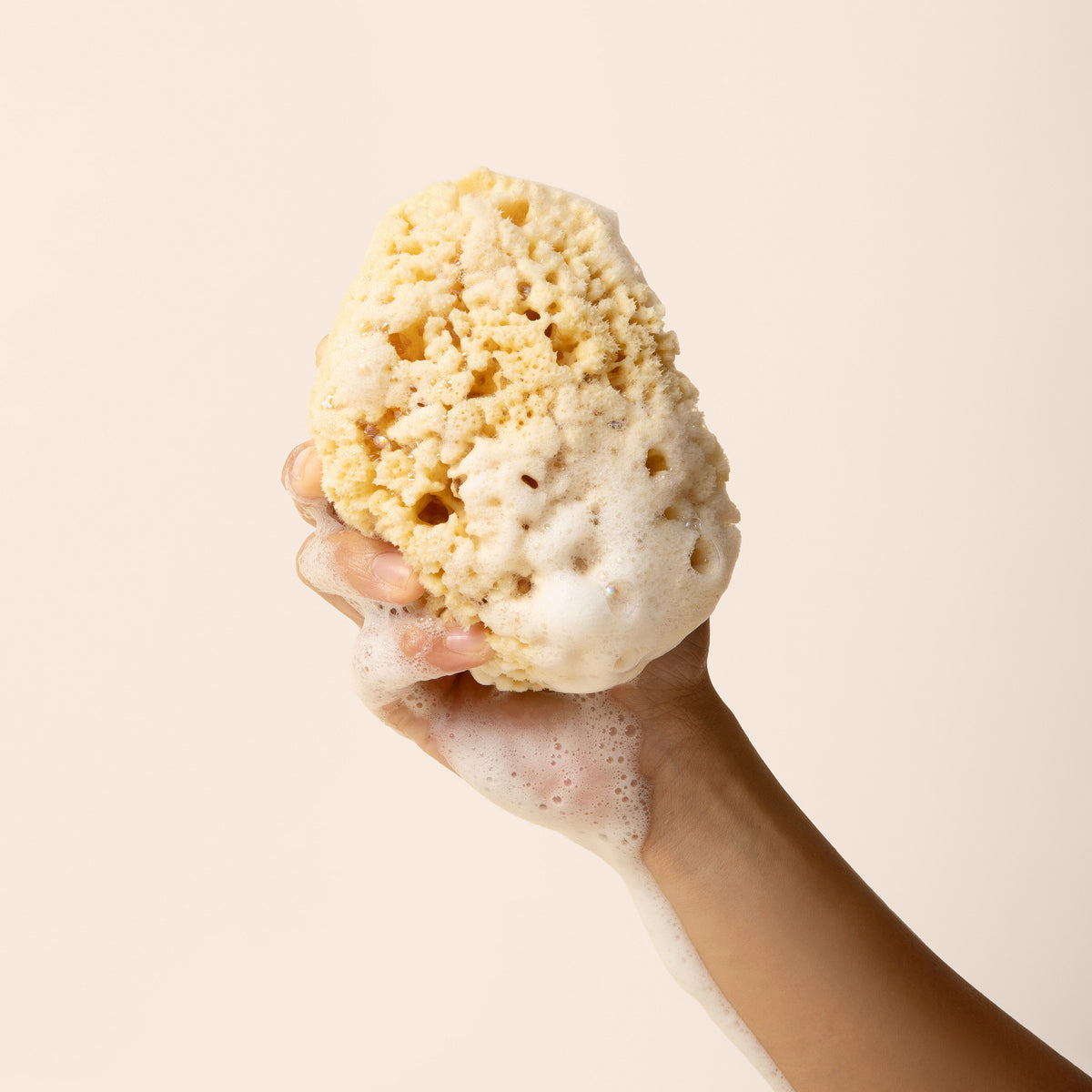 Hand holding a sudsy natural sponge against a beige background