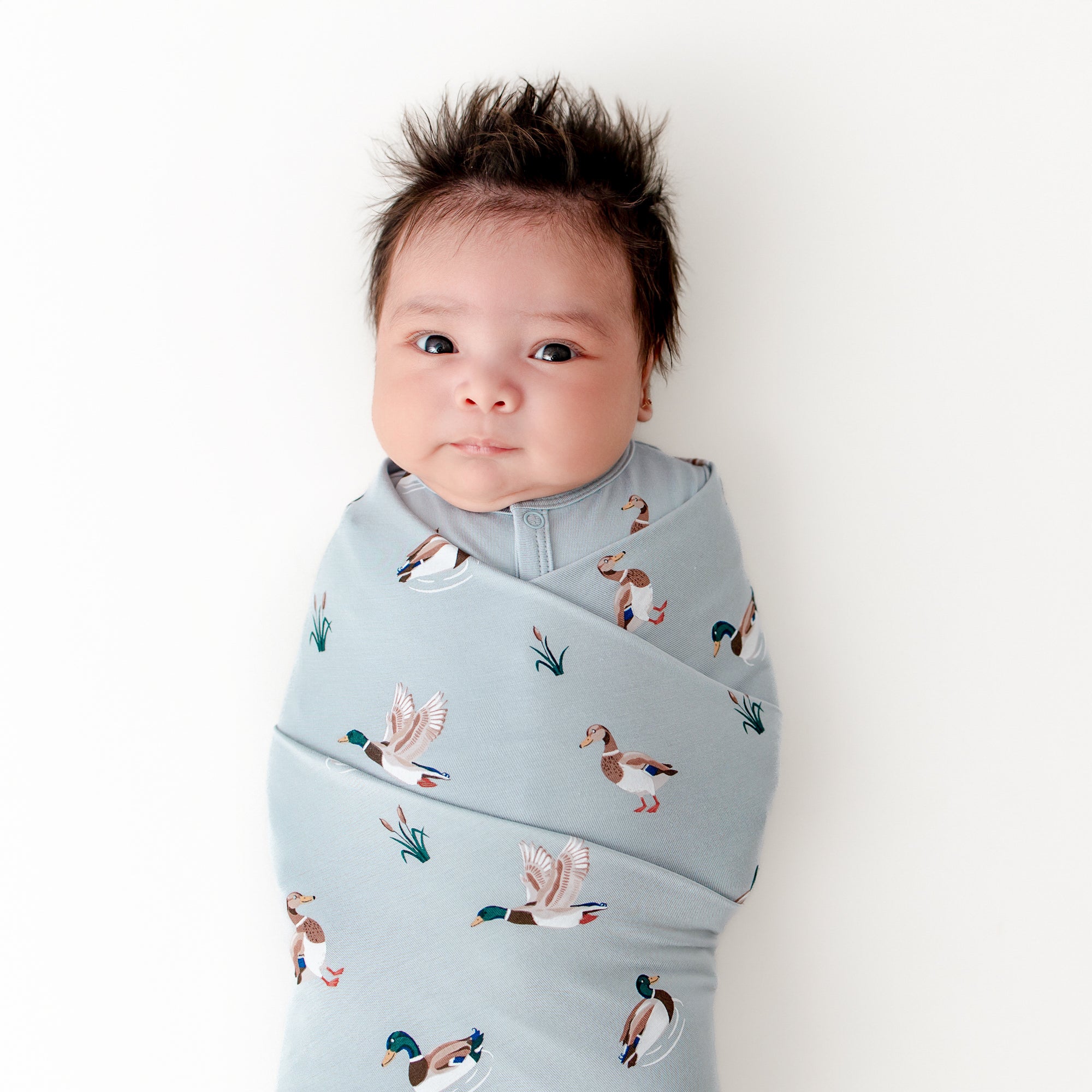 Close up newborn swaddled in the Swaddle Blanket in Mallard Duck