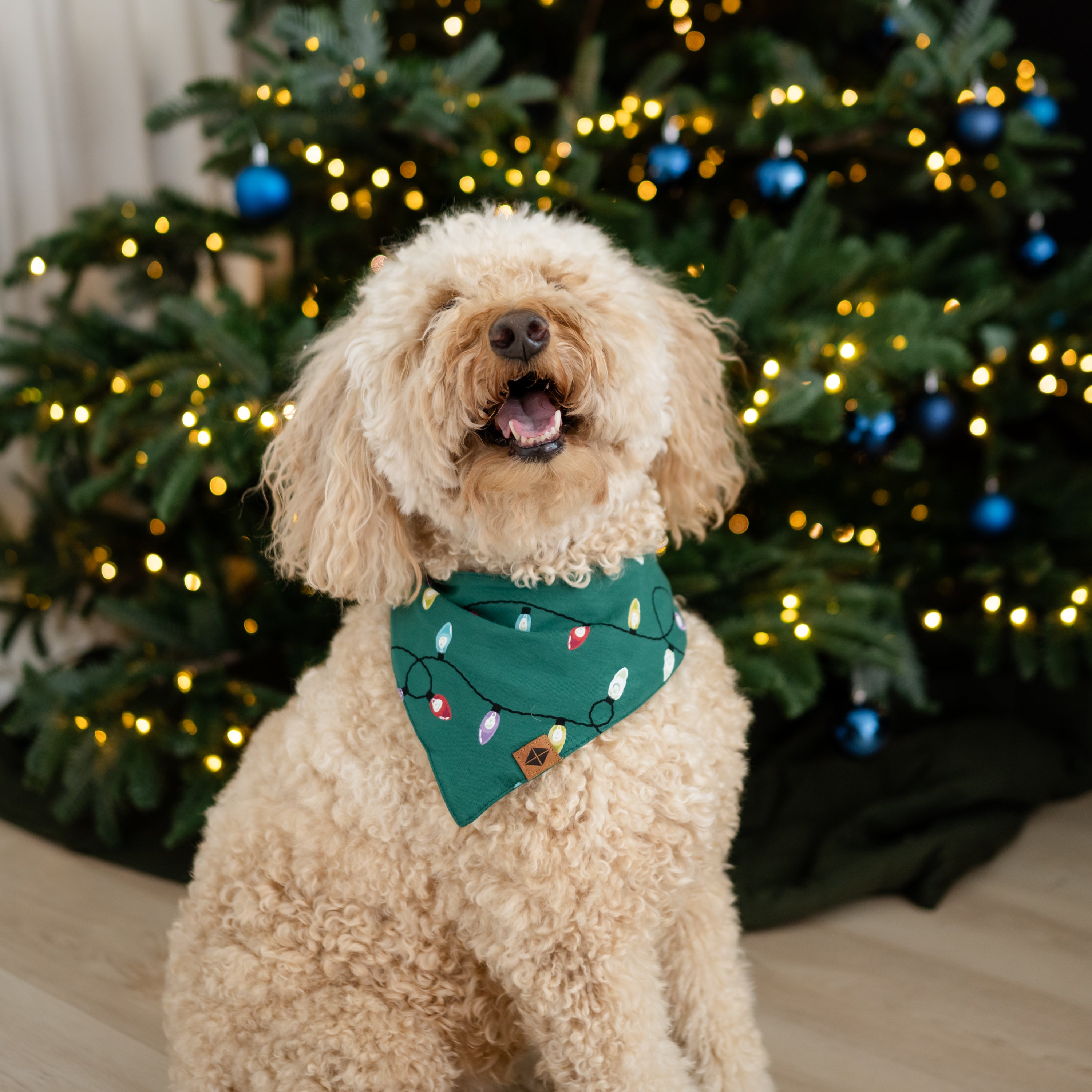 Medium sized dog wearing the Dog Bandana in Merry and Bright standing in front of a decorated Christmas tree