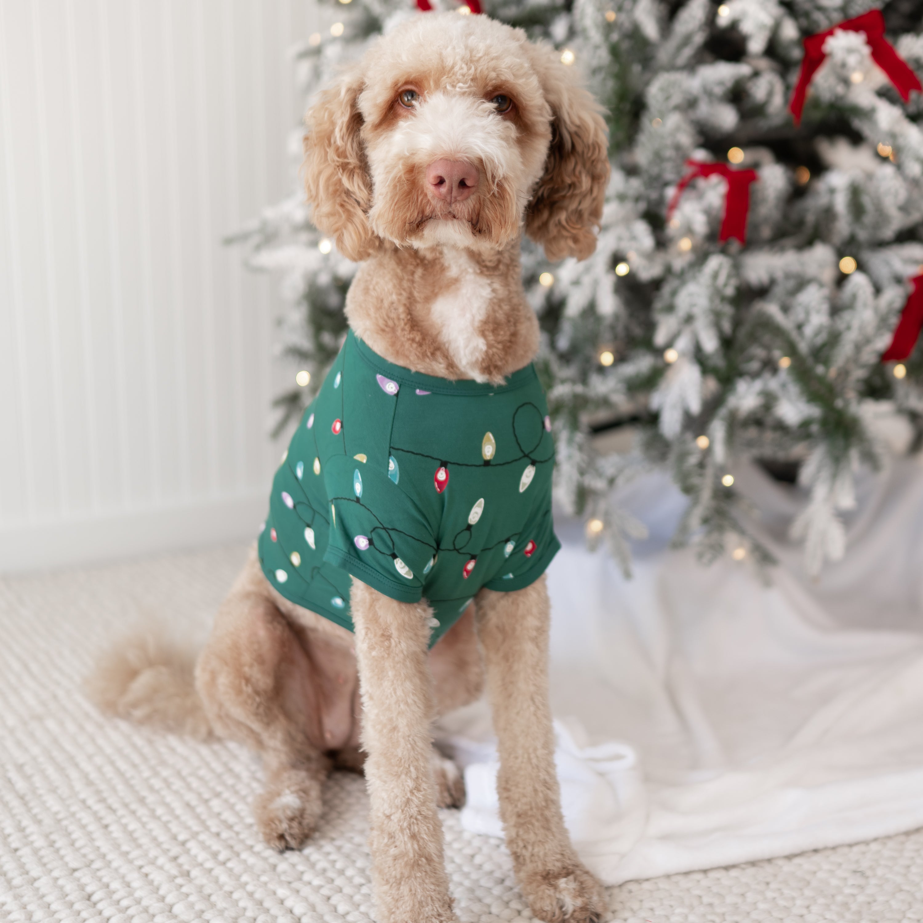 Large dog wearing the Dog Tee in Merry and Bright standing beside a decorated Christmas tree