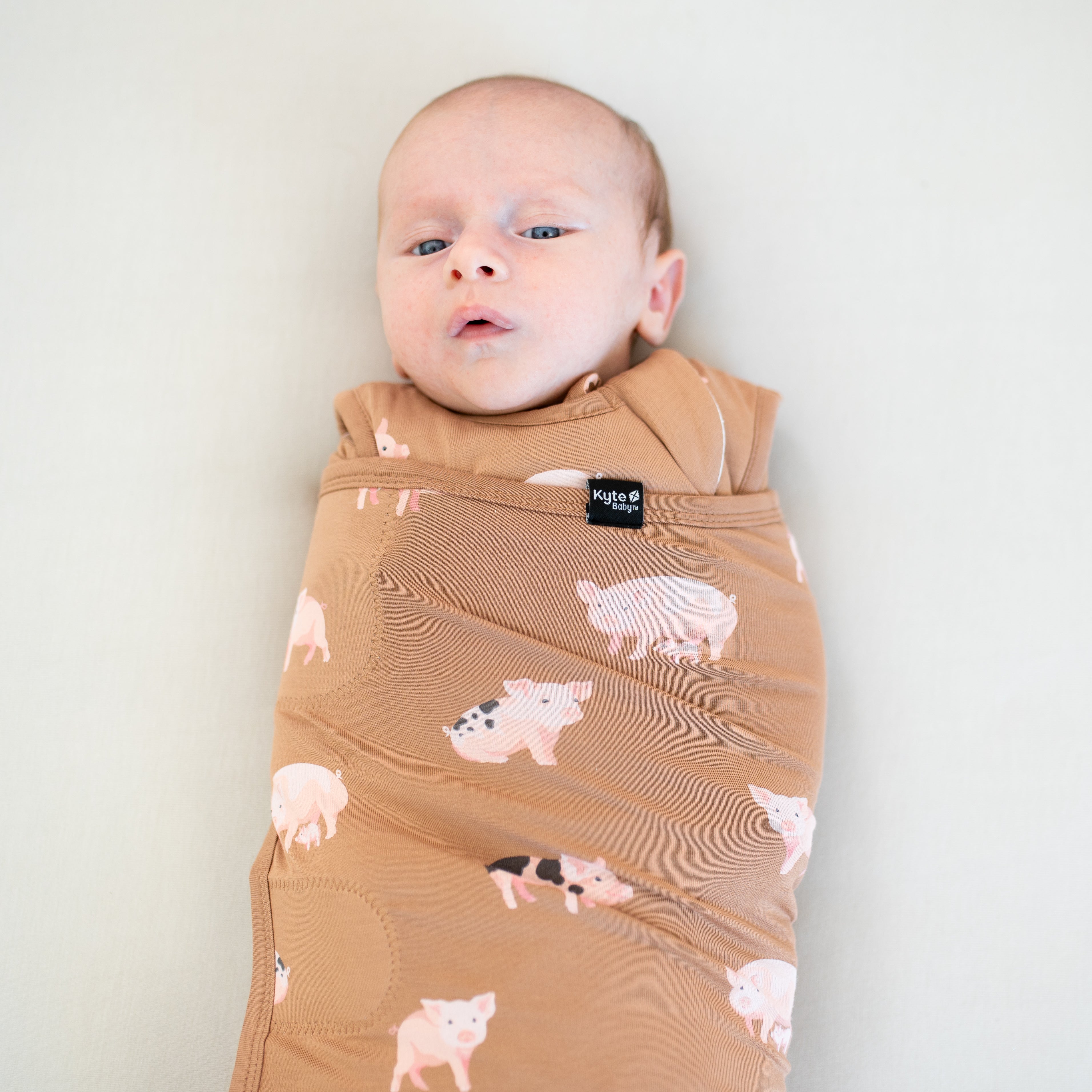 Close up of the Sleep Bag Swaddler in Pig 1.0 shown swaddled