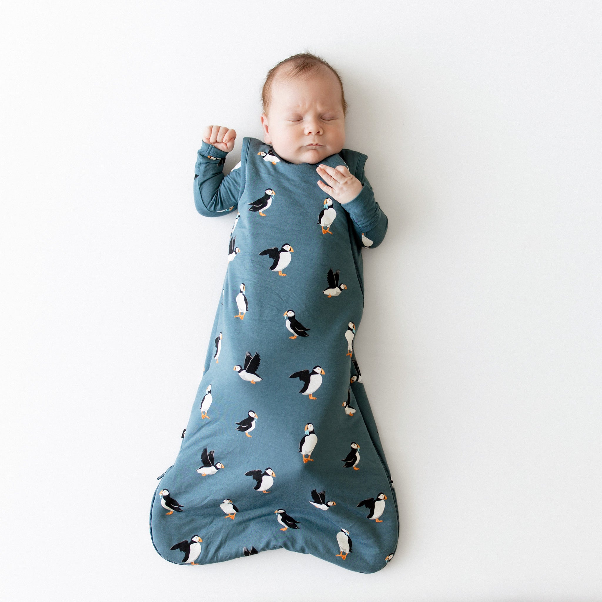 Sleeping infant laying on a light neutral surface wearing the Sleep Bag in Puffin 1.0