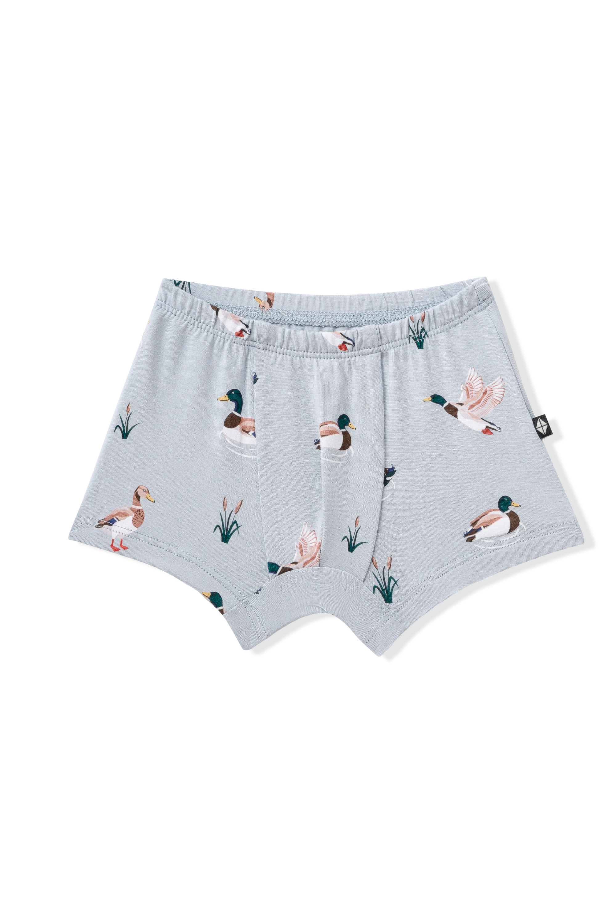 Product photo of the Briefs in Mallard Duck