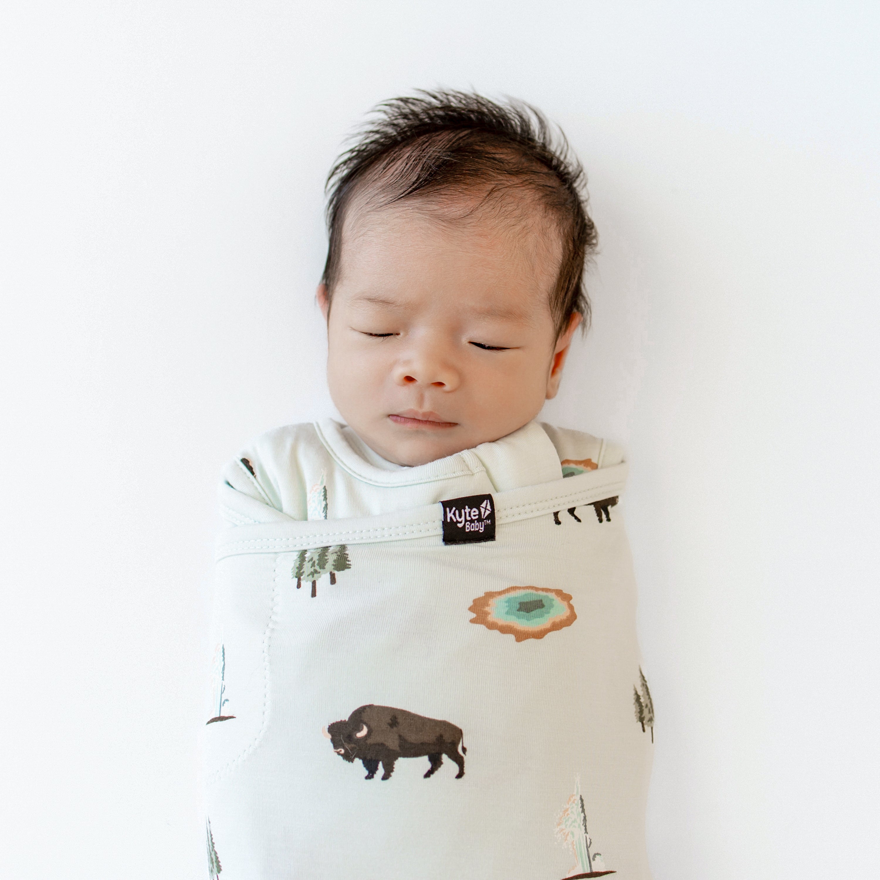 Close up of Baby asleep in Sleep Bag Swaddler in Yellowstone 1.0