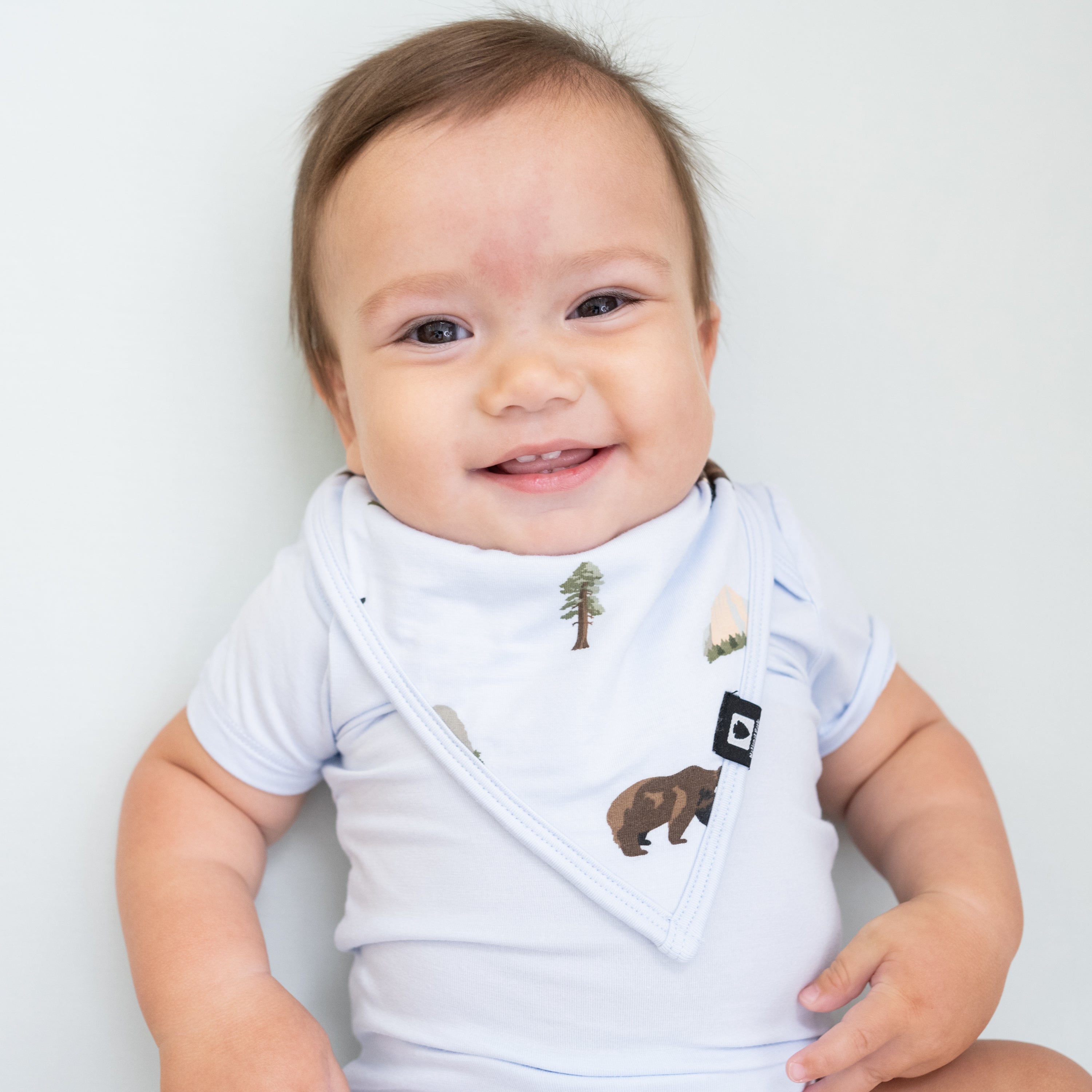 Baby wearing National Parks Bib in Yosemite and Mist bodysuit